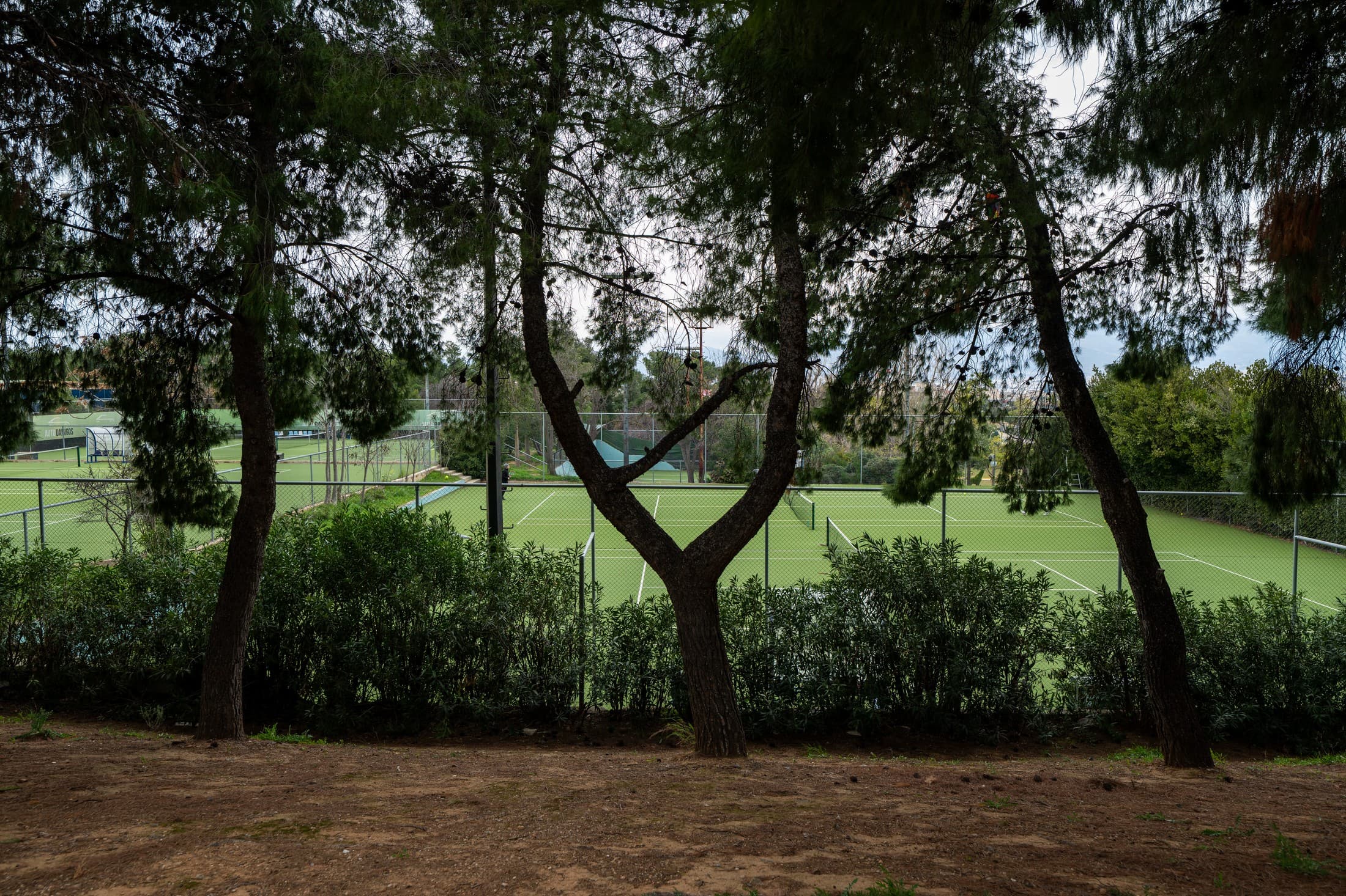 Alt text not provided