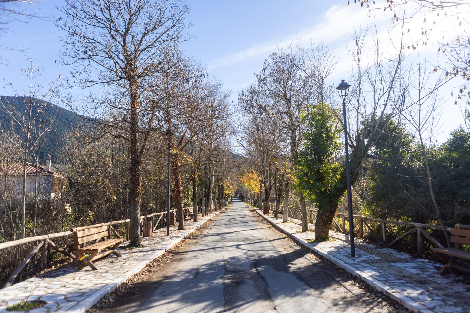 Alt text not provided