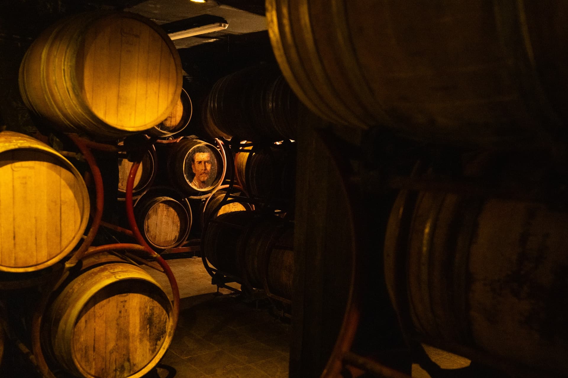 Alt text not provided