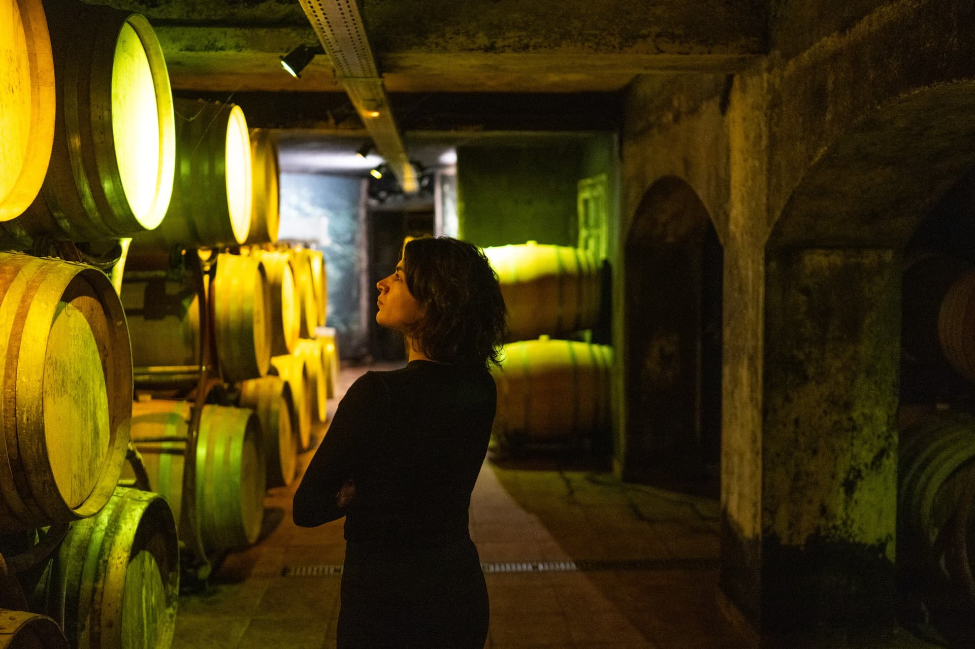 Alt text not provided