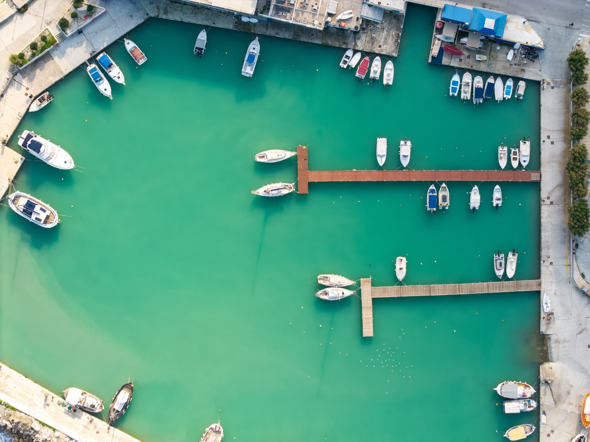 Alt text not provided