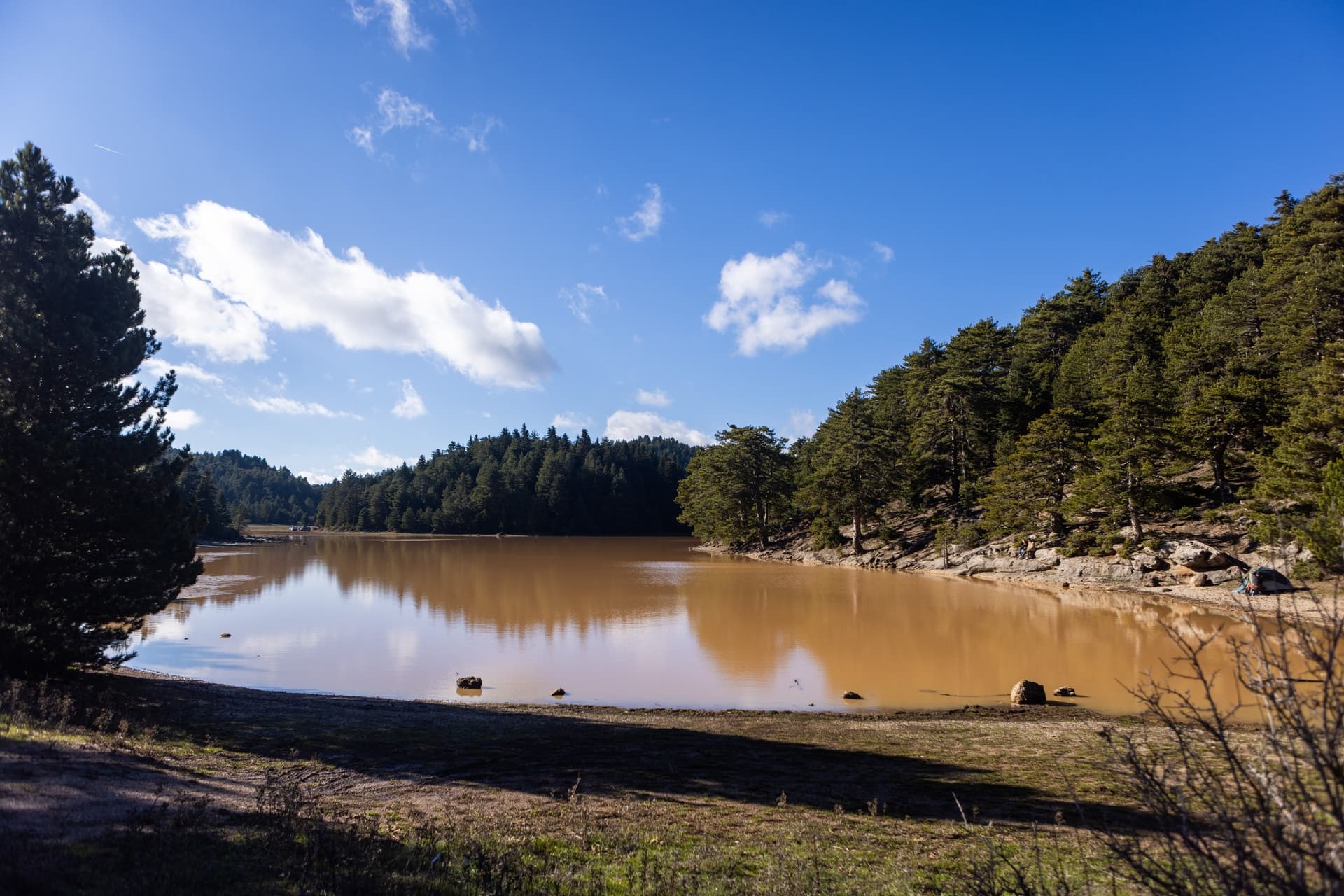 Alt text not provided