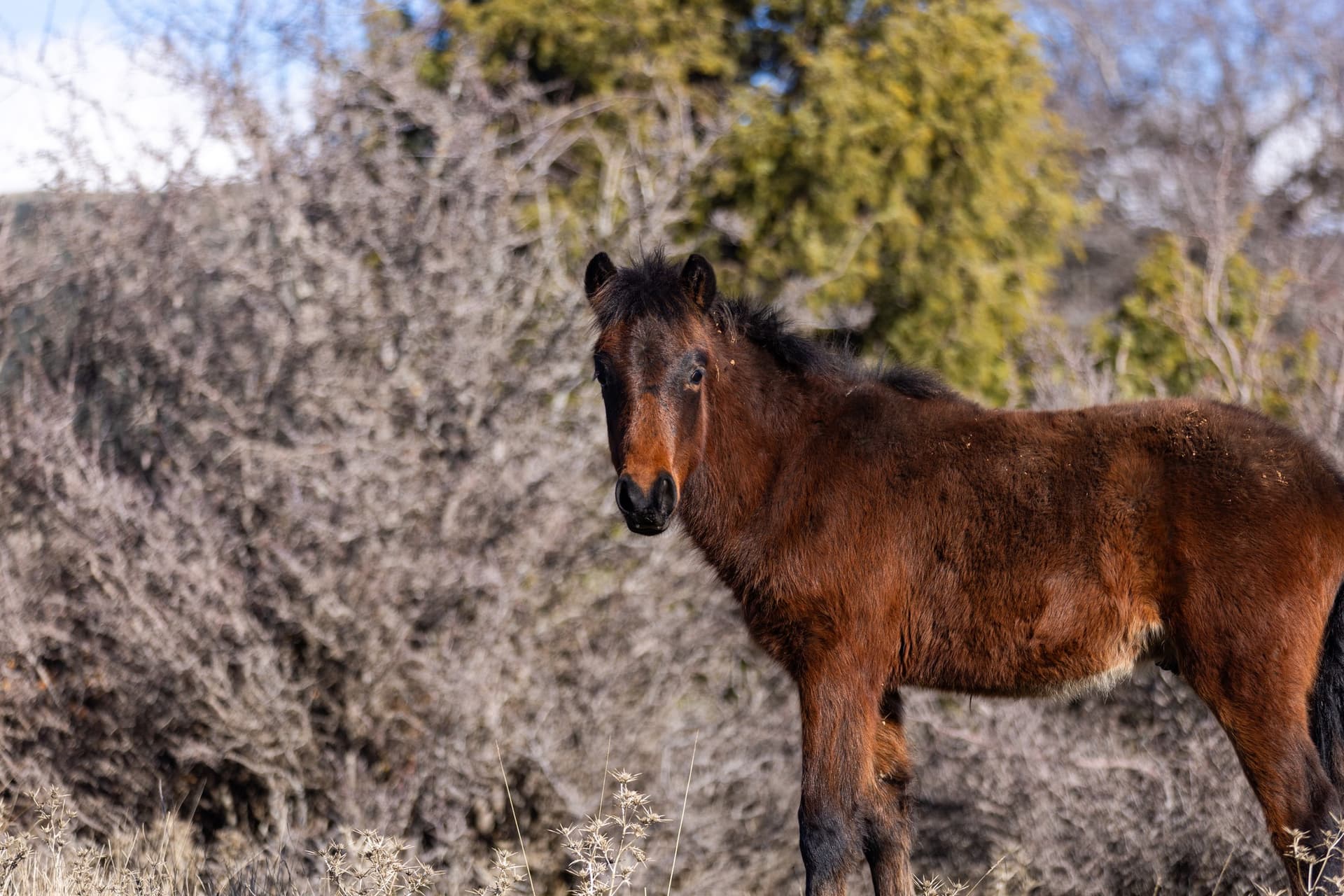 Alt text not provided