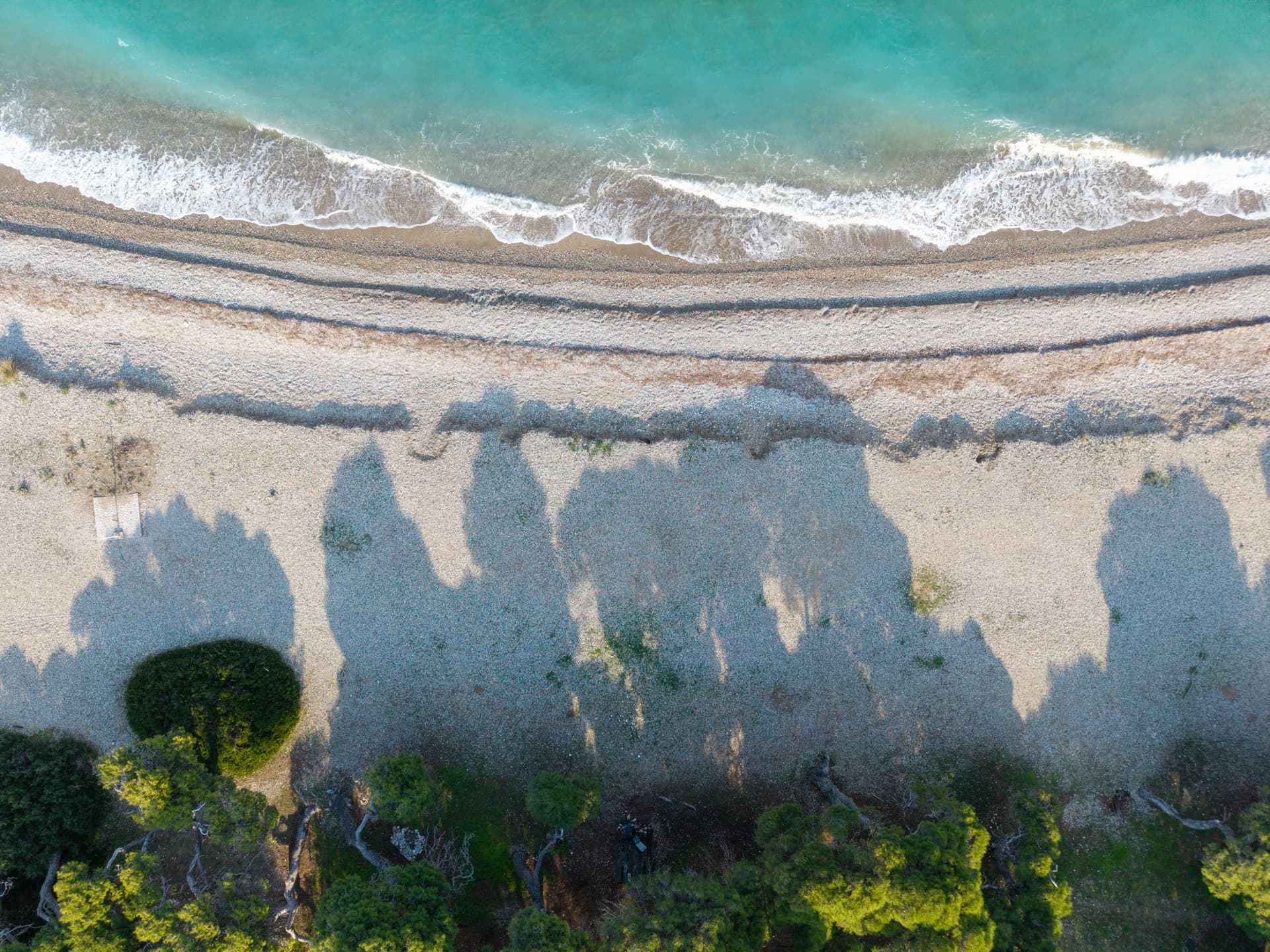 Alt text not provided