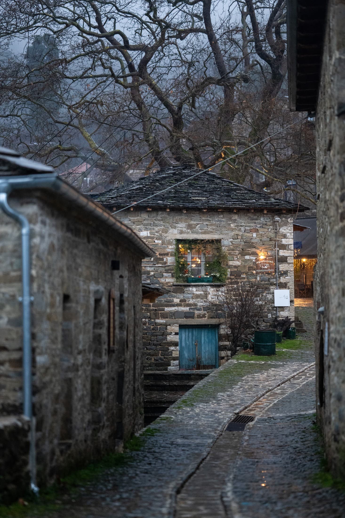 Alt text not provided