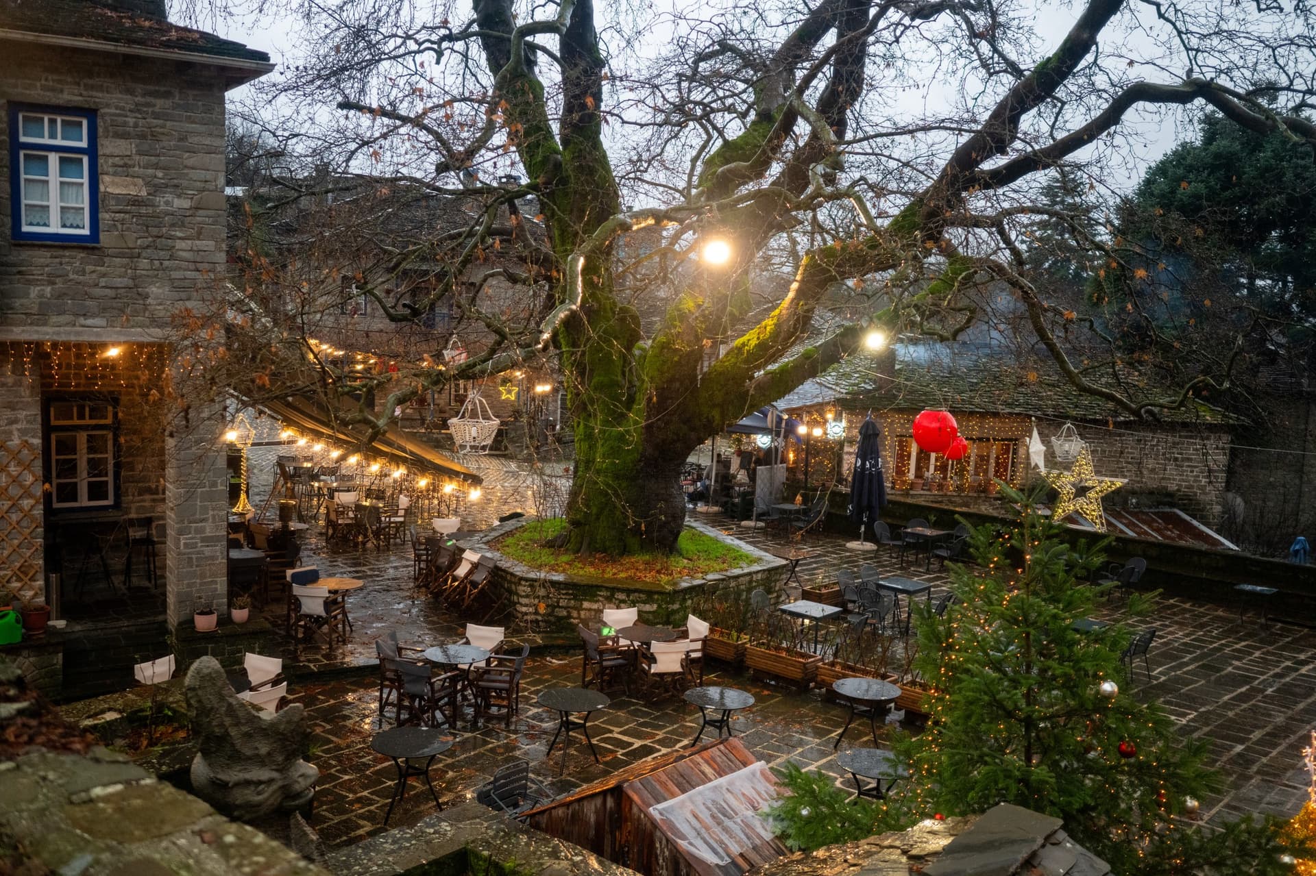 Alt text not provided