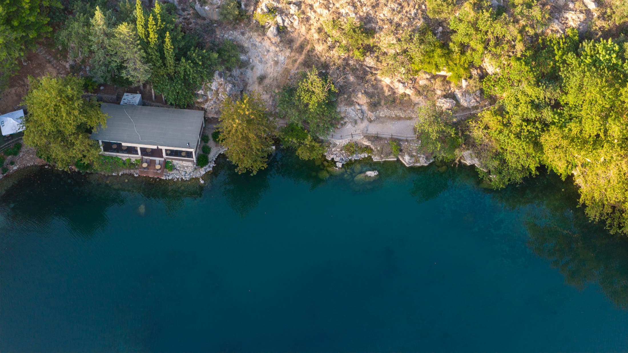 Alt text not provided