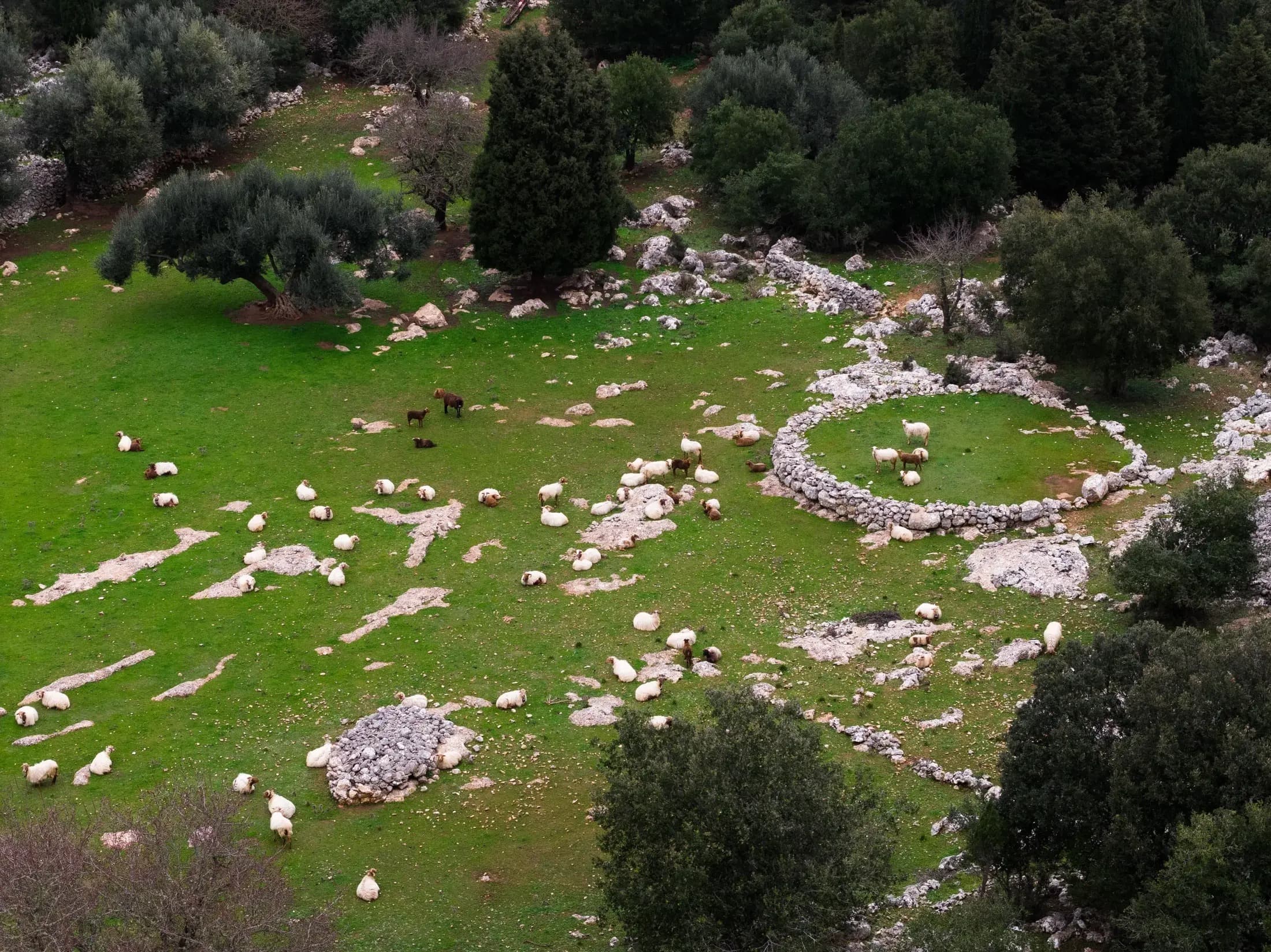 Geoparks: The Living History of the Earth