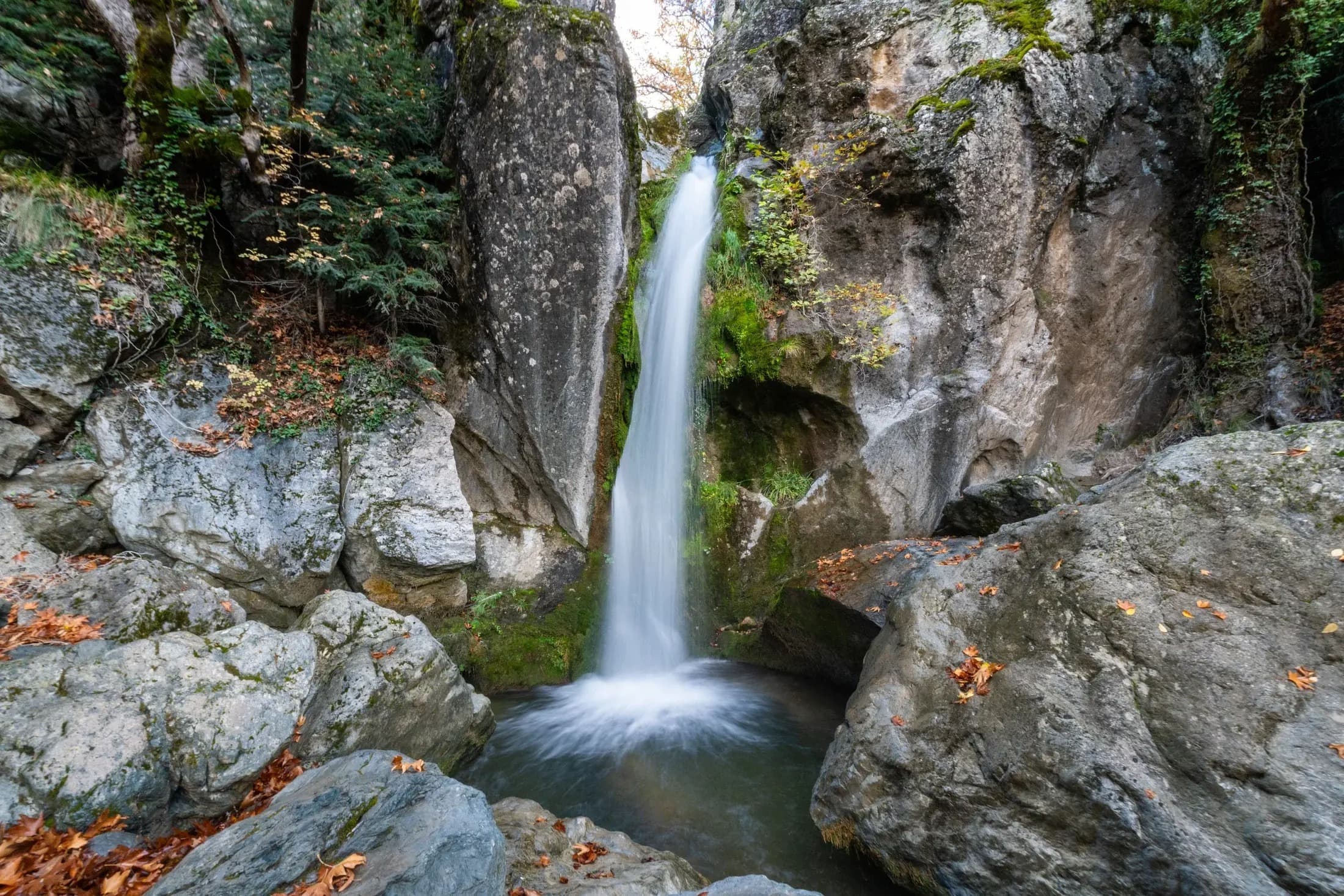 Gorges: Corridors of Time and Nature