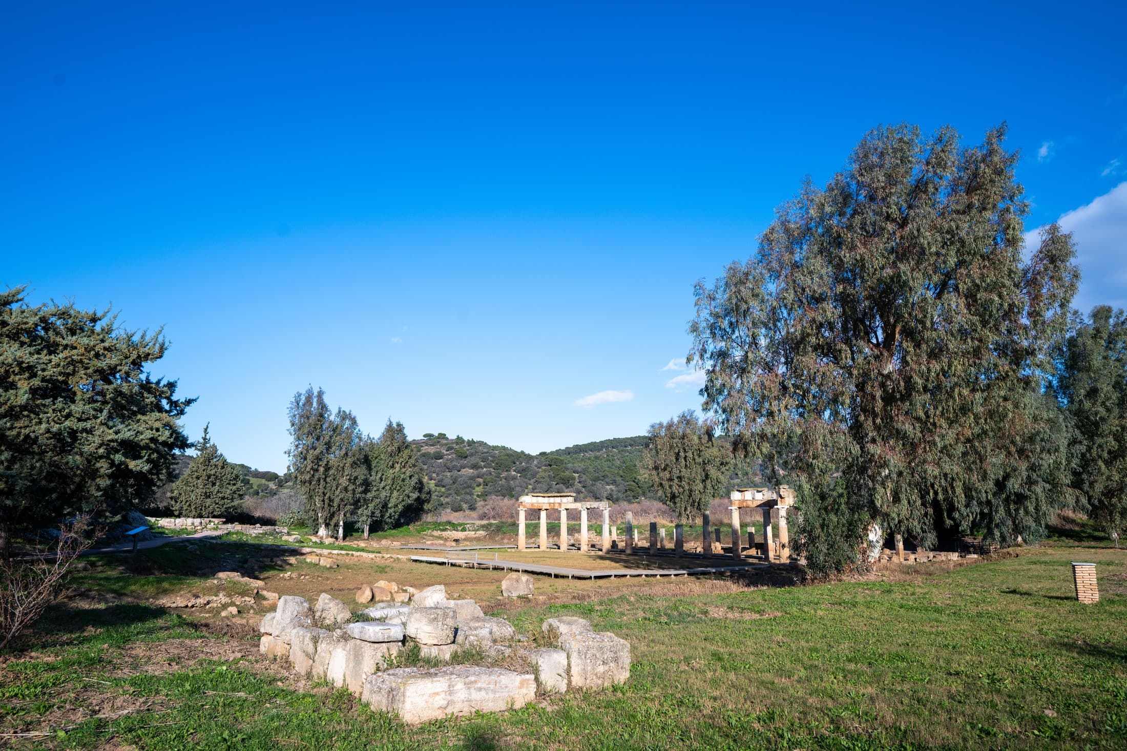 Alt text not provided