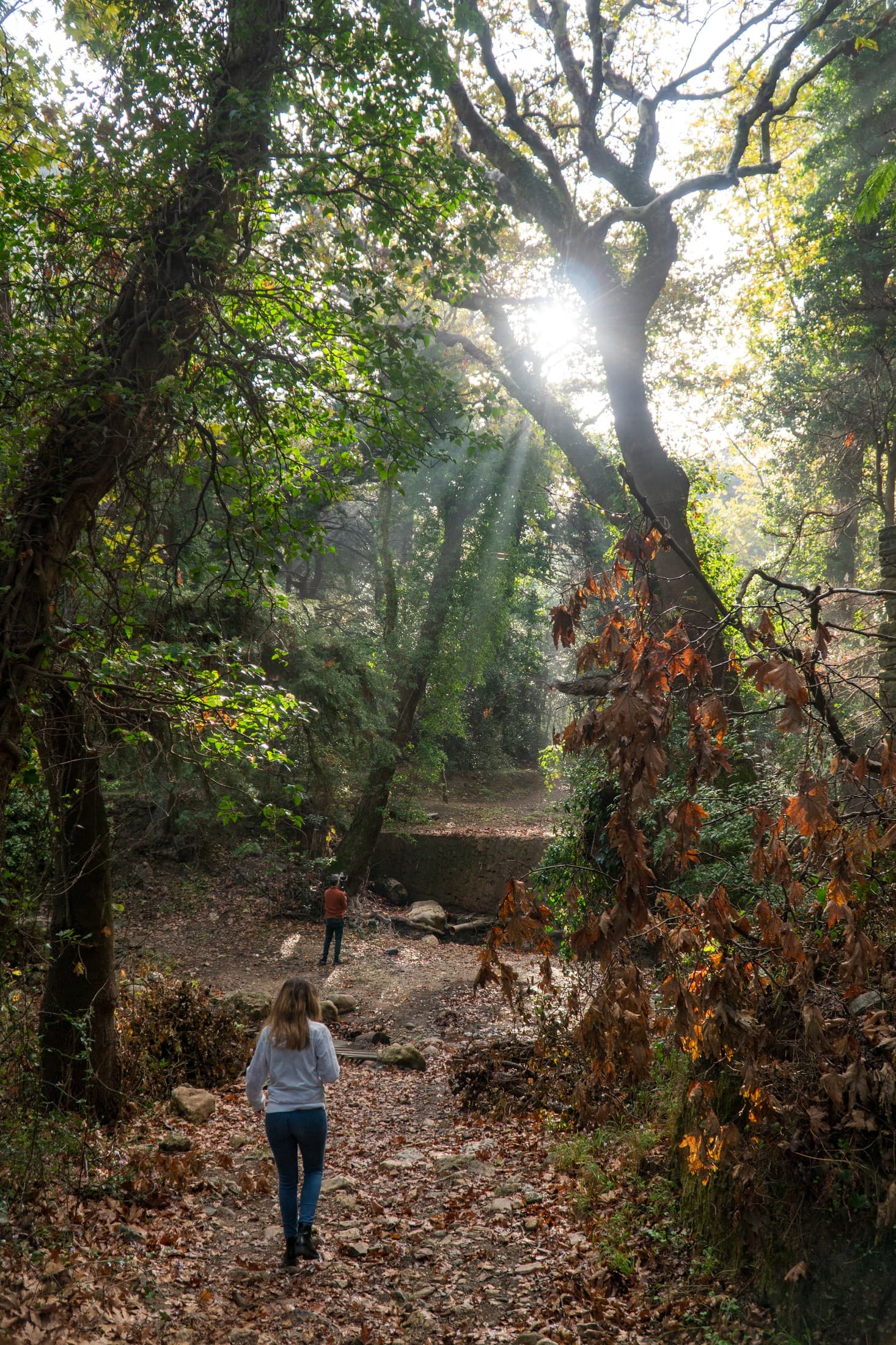 Alt text not provided