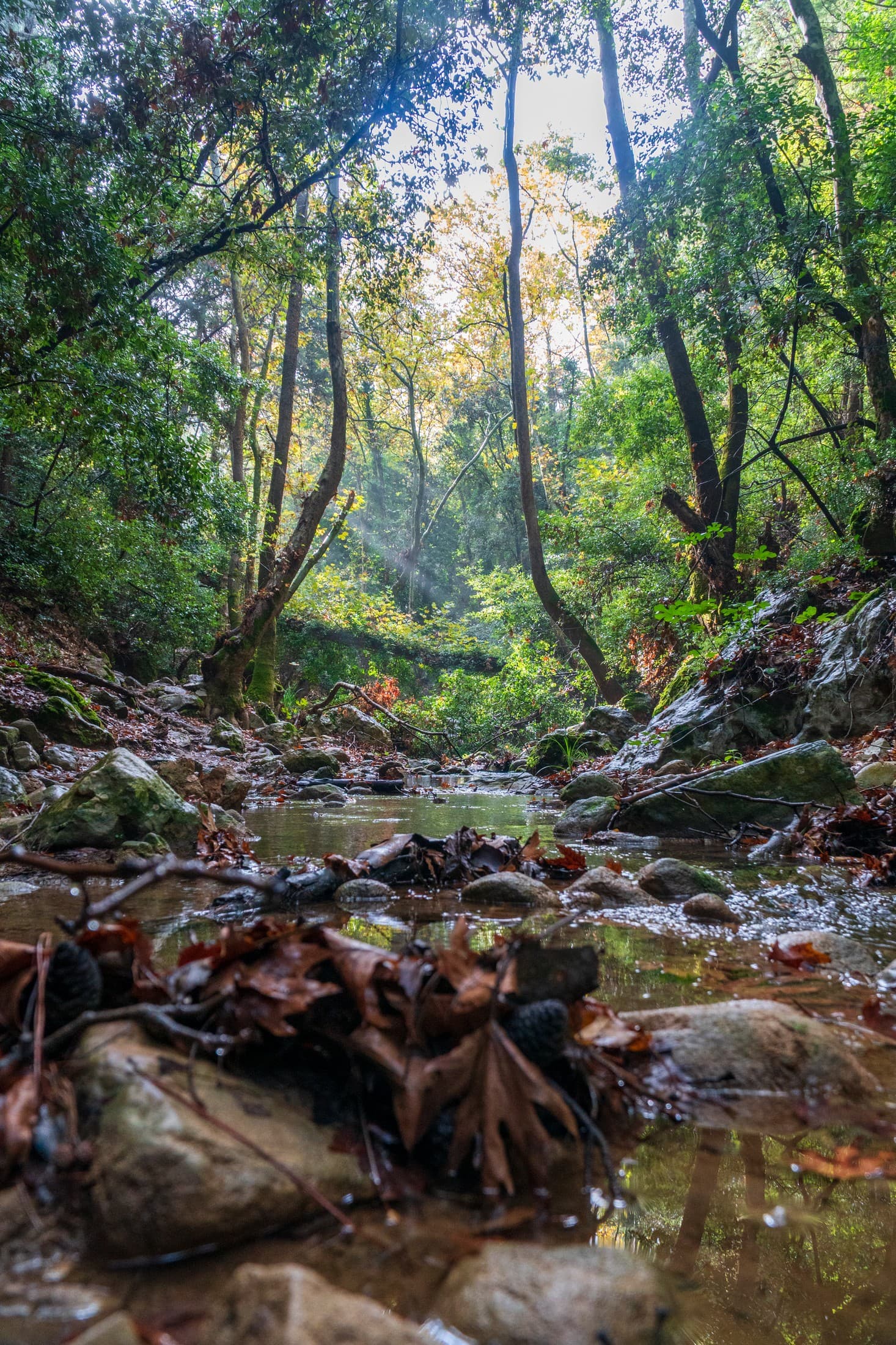 Alt text not provided