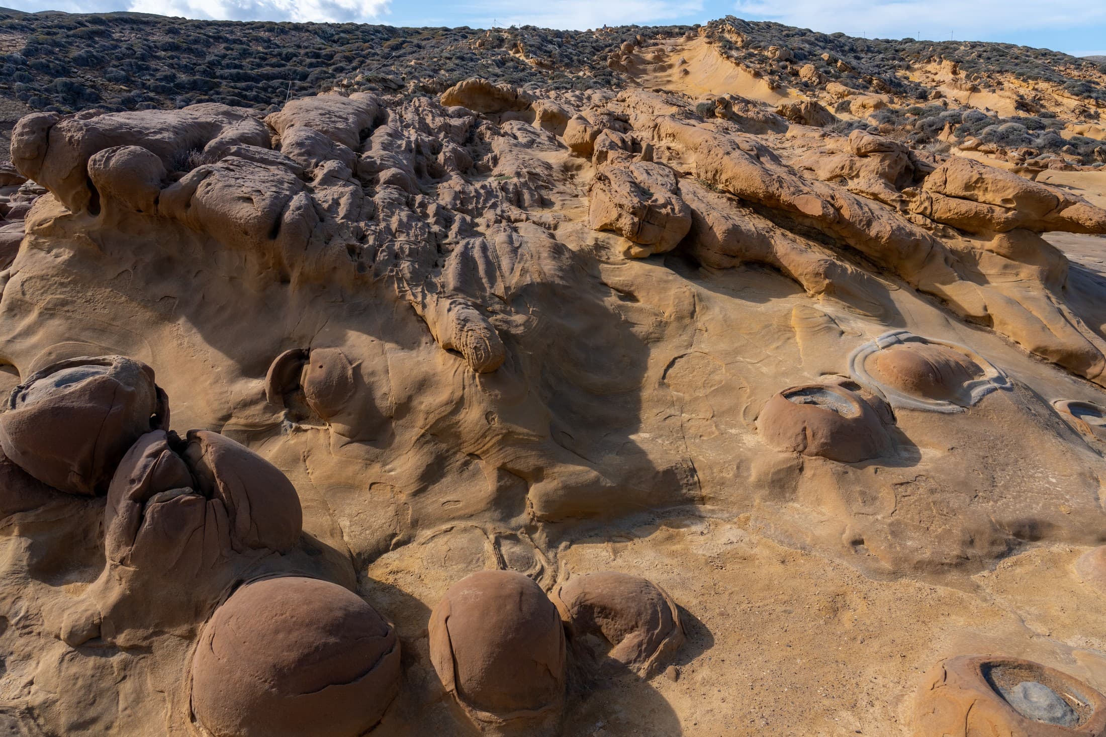 Alt text not provided