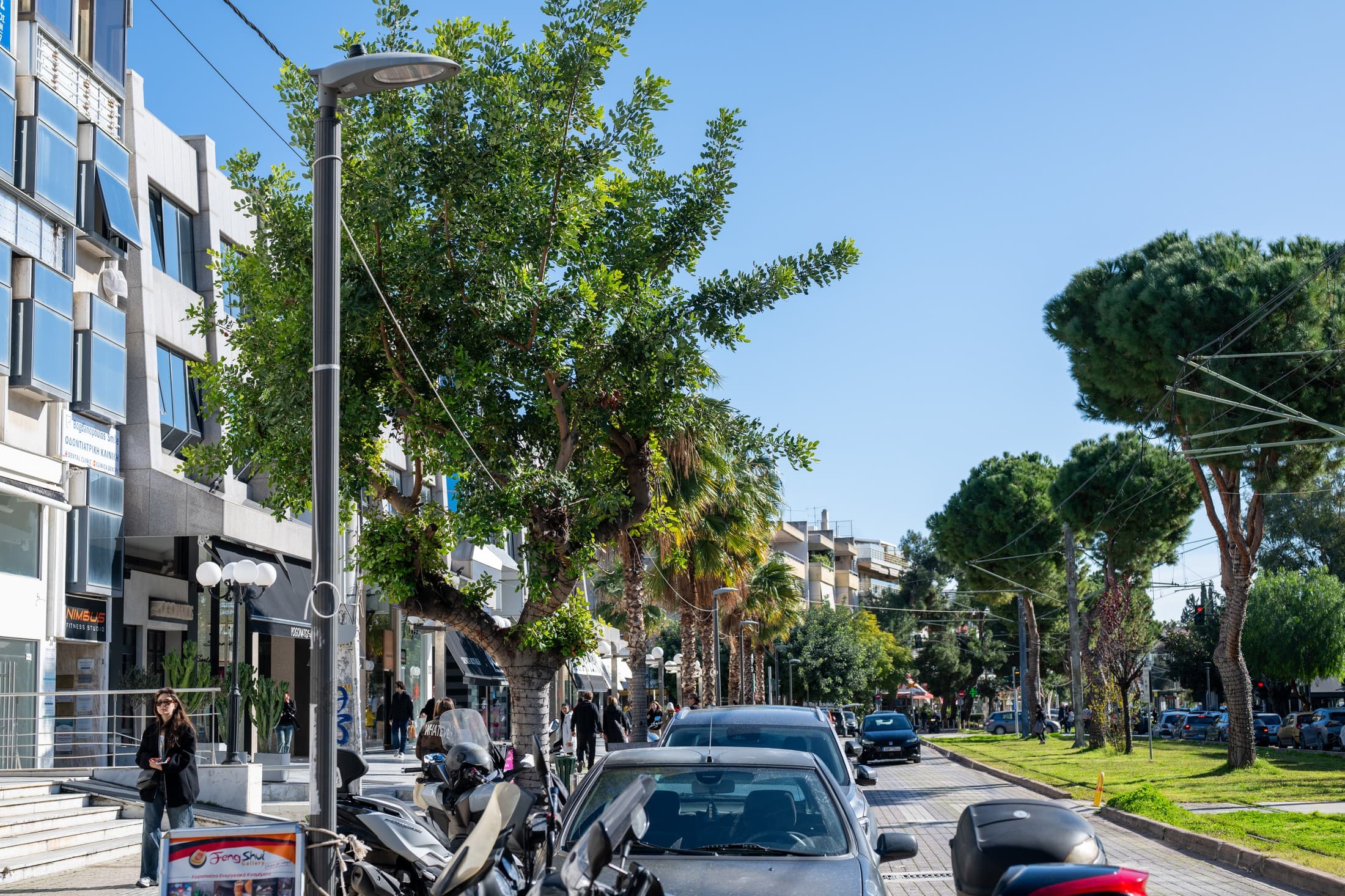 Alt text not provided