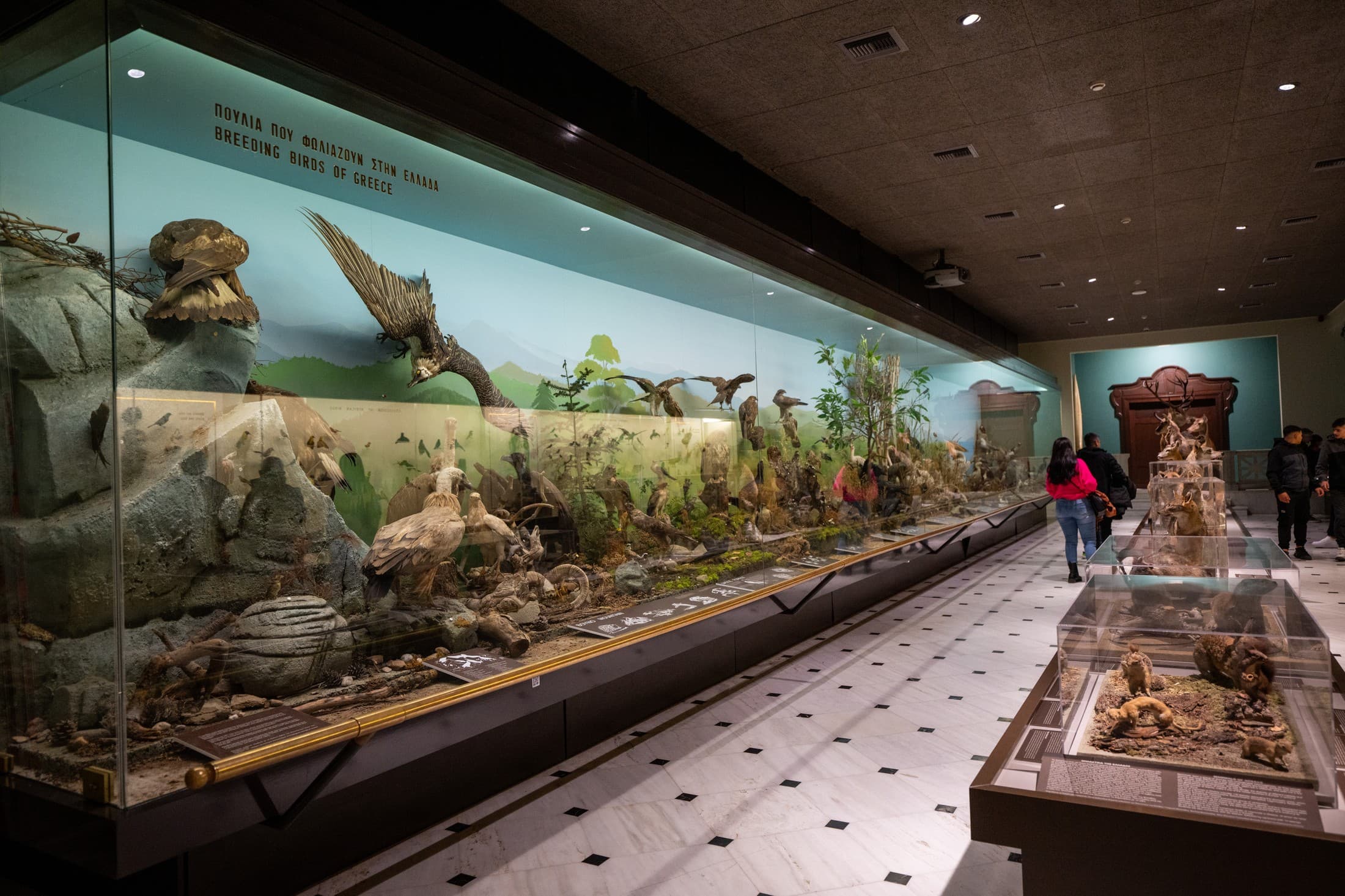 Alt text not provided