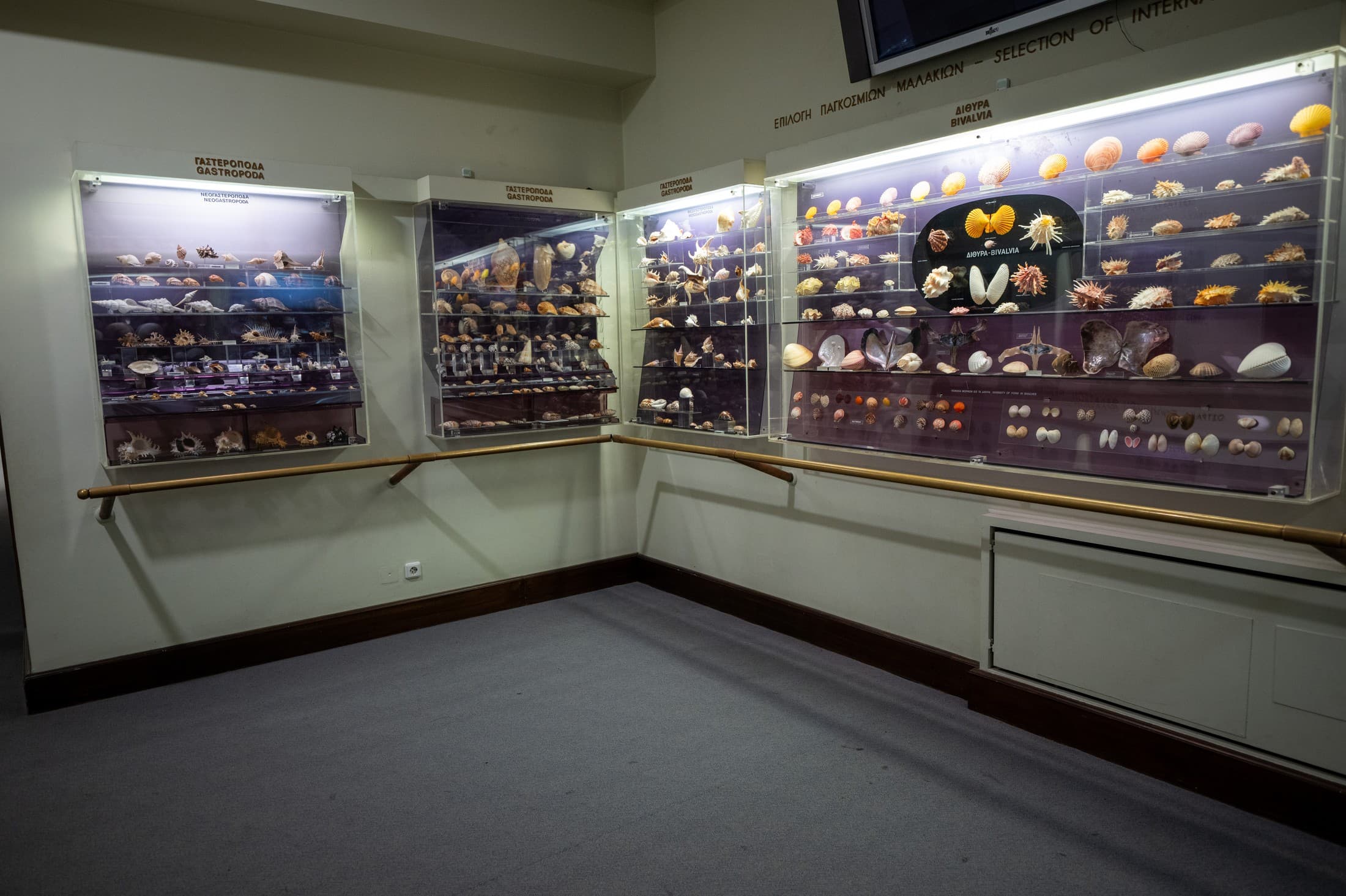 Alt text not provided