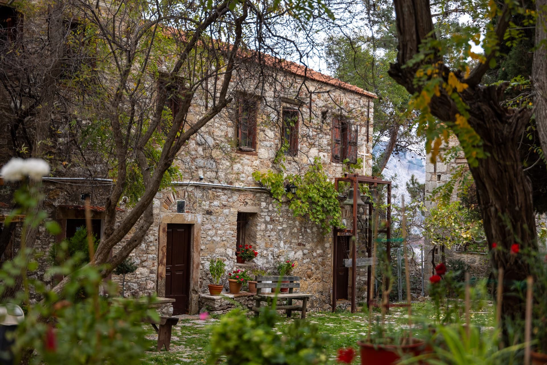 Alt text not provided