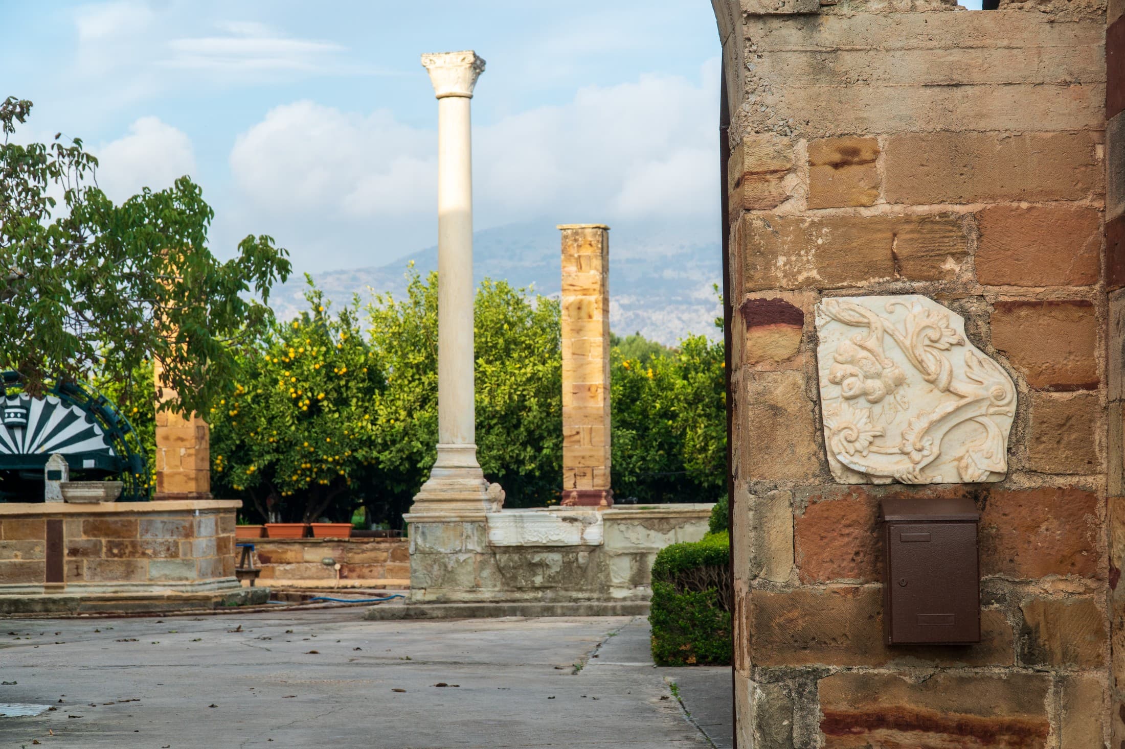 Alt text not provided