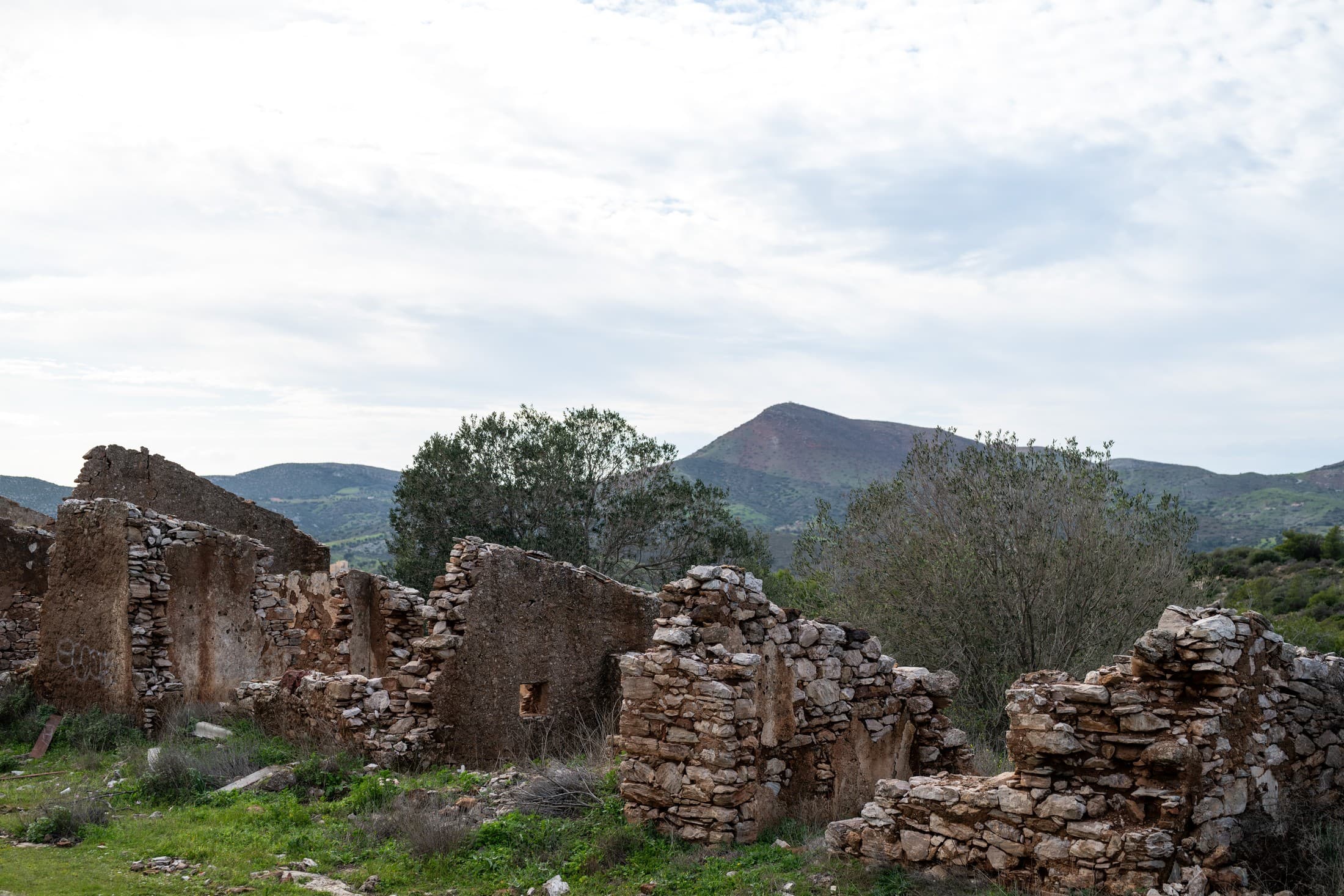 Alt text not provided