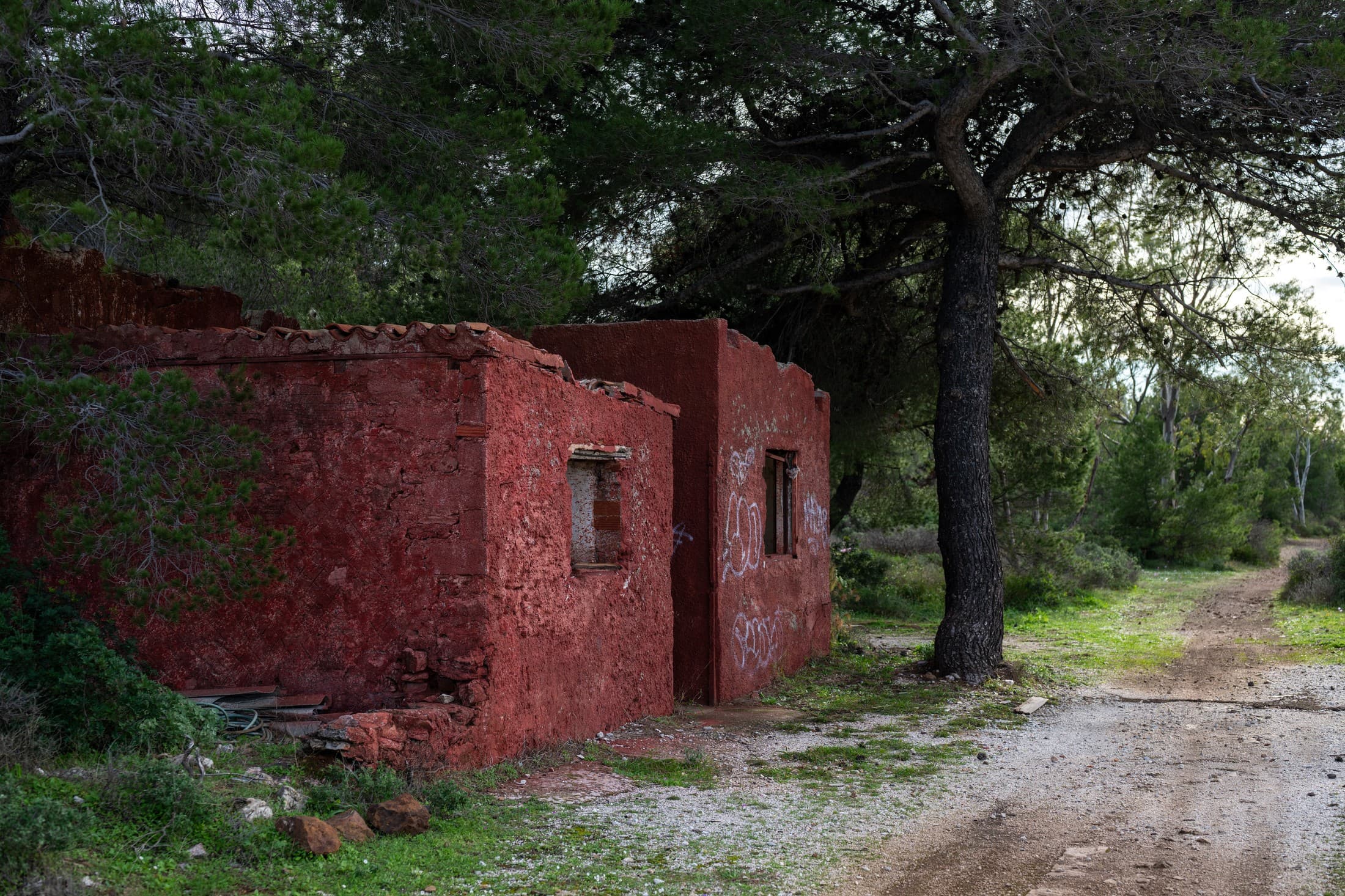 Alt text not provided