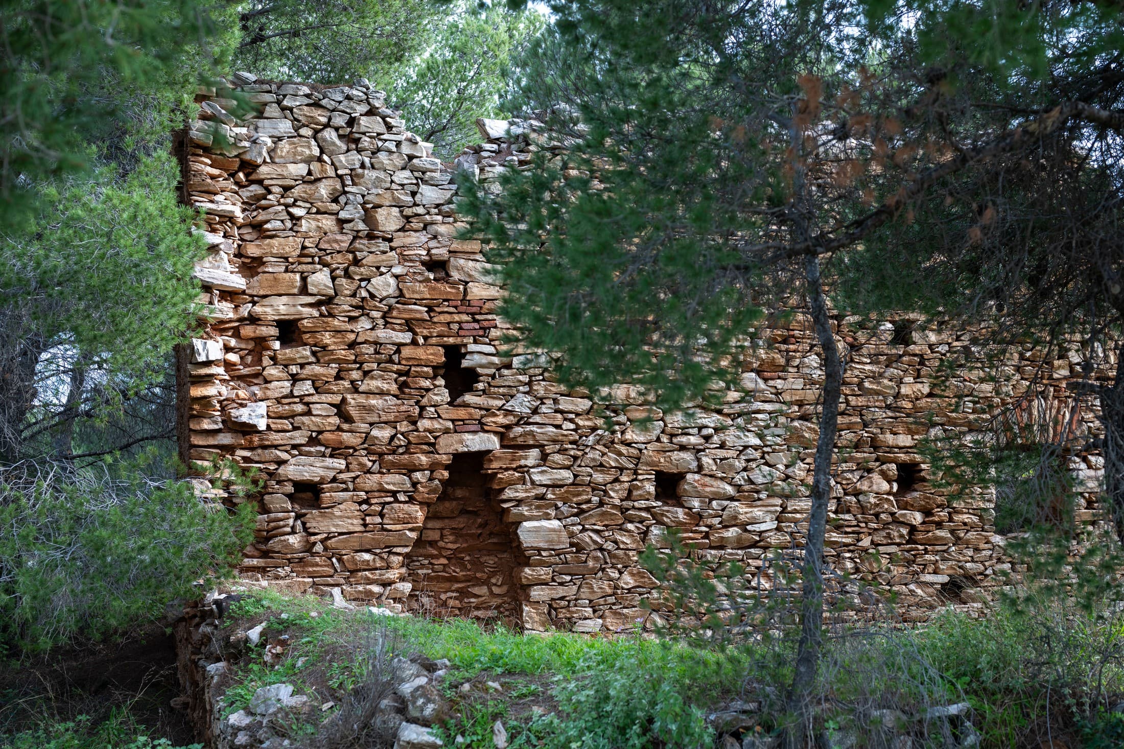 Alt text not provided