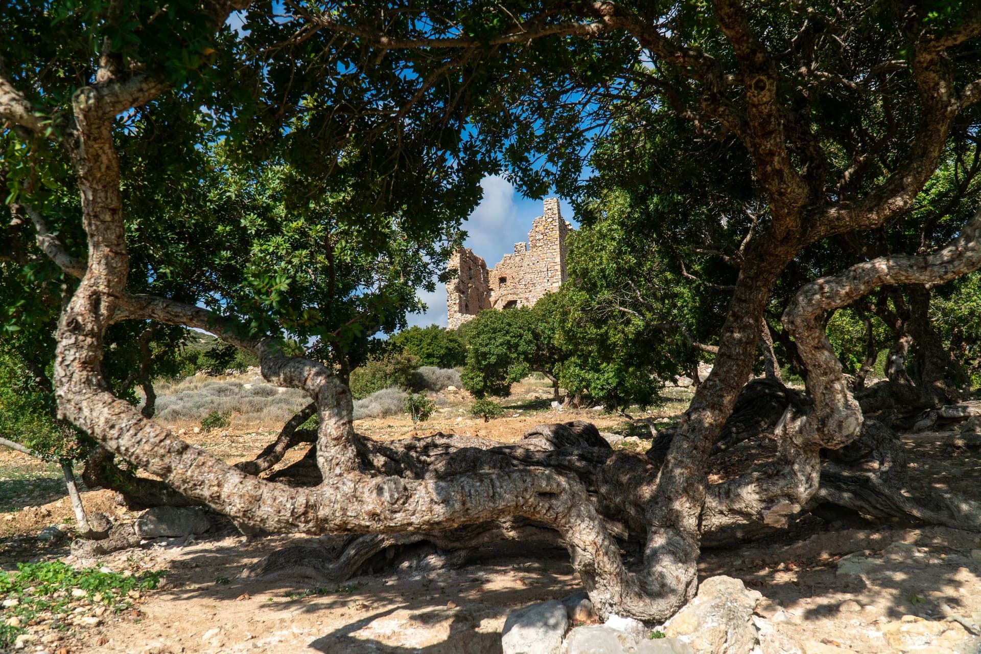 Alt text not provided