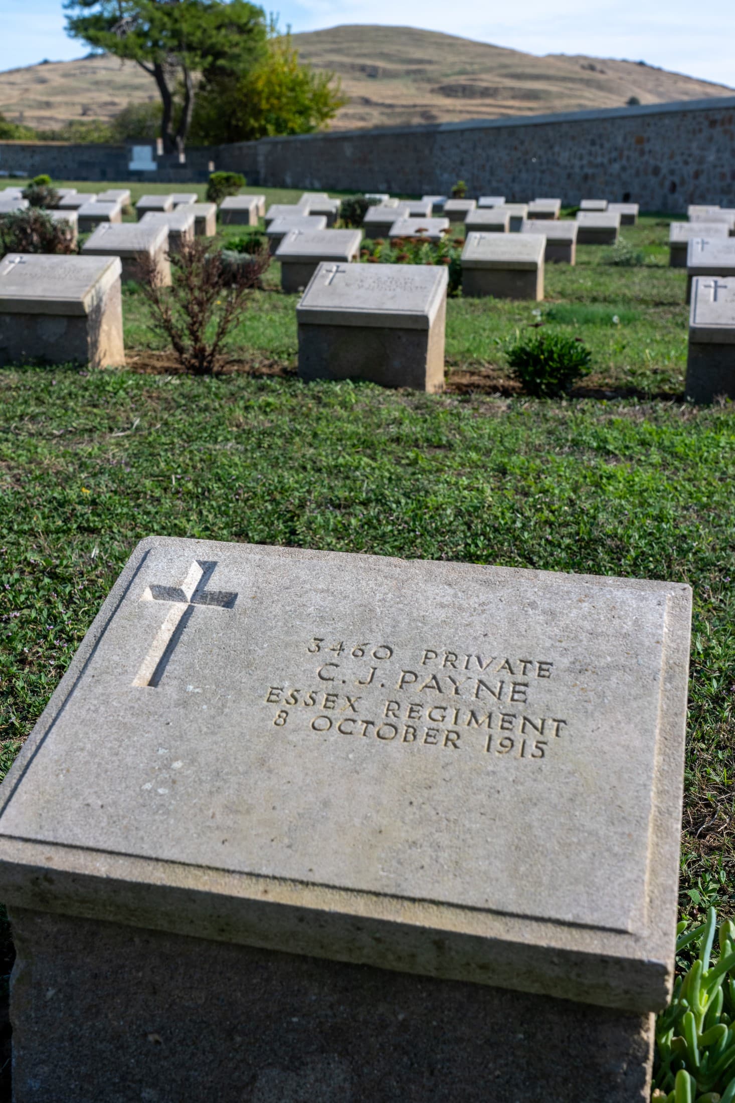 Alt text not provided