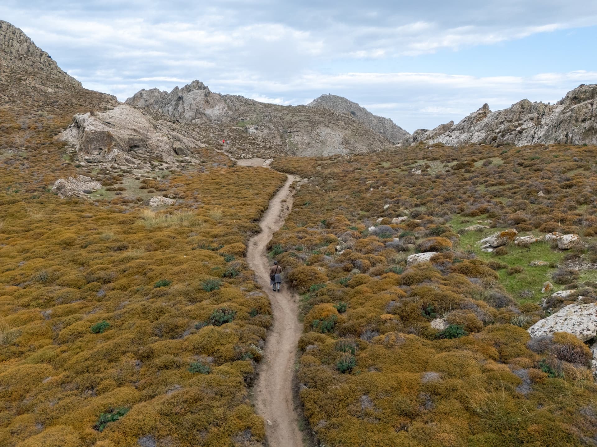 Alt text not provided