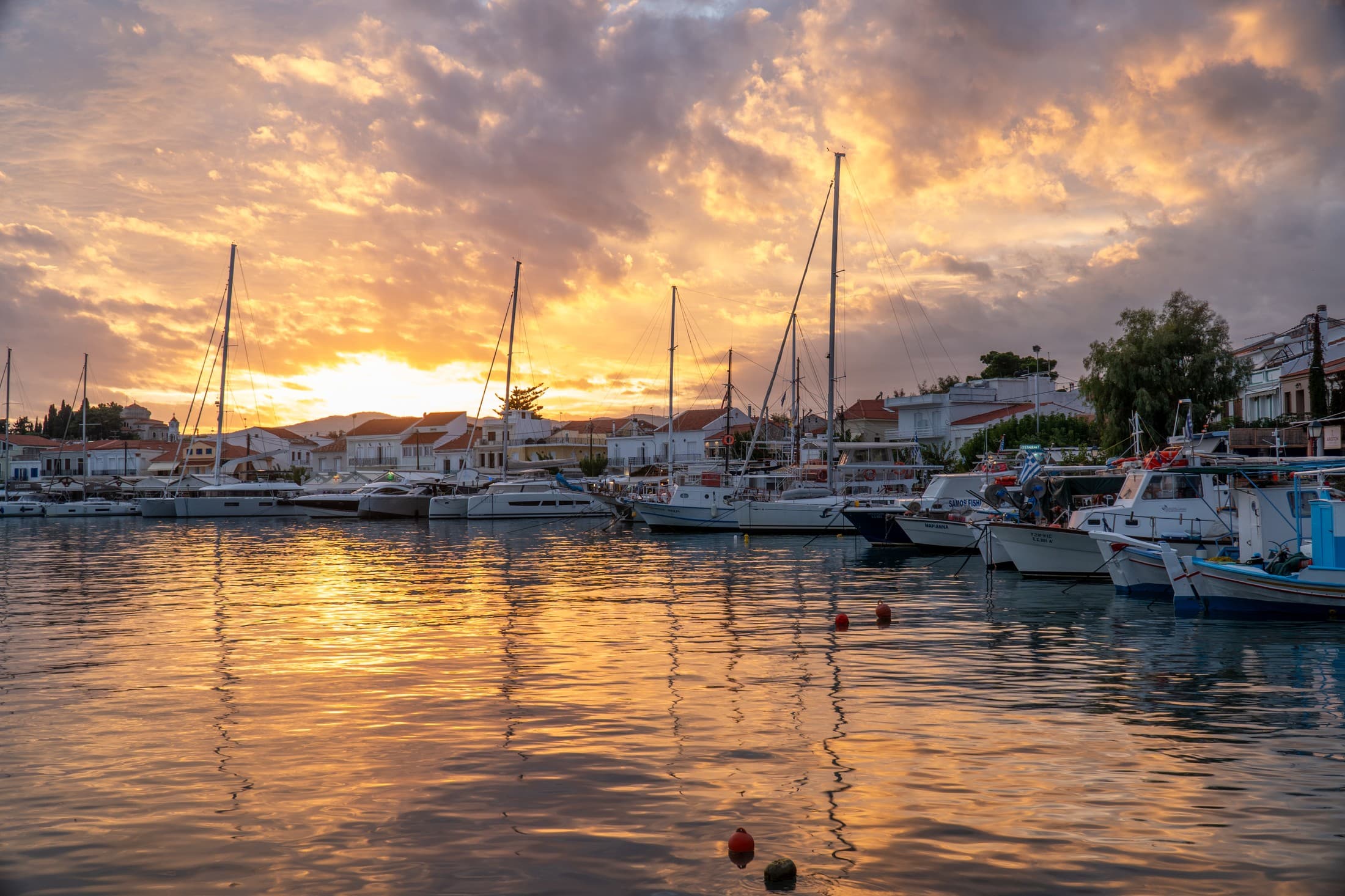 Alt text not provided