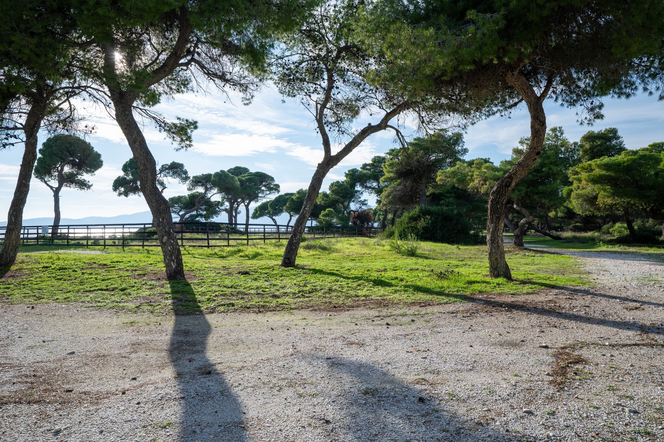 Alt text not provided