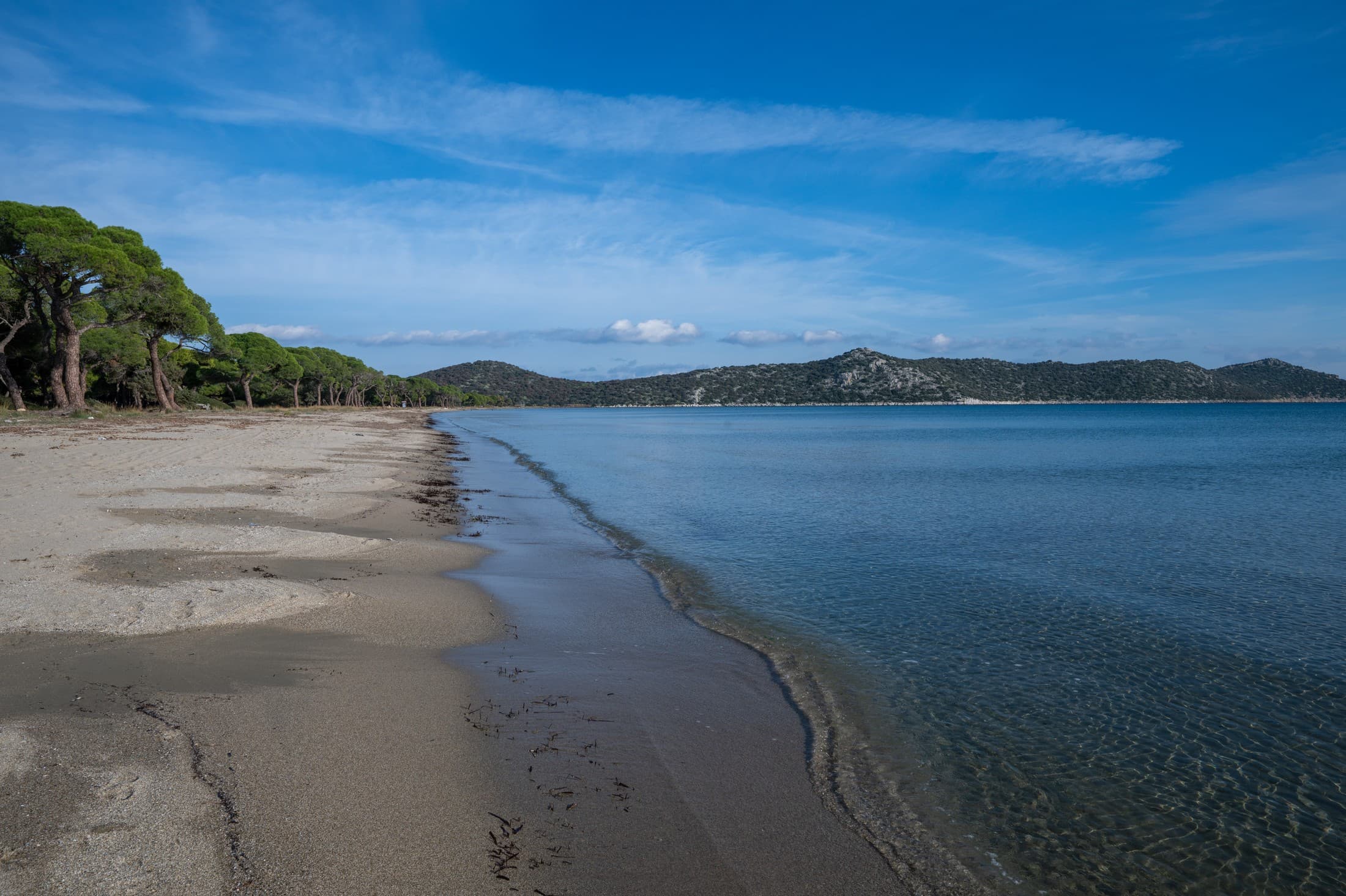 Alt text not provided