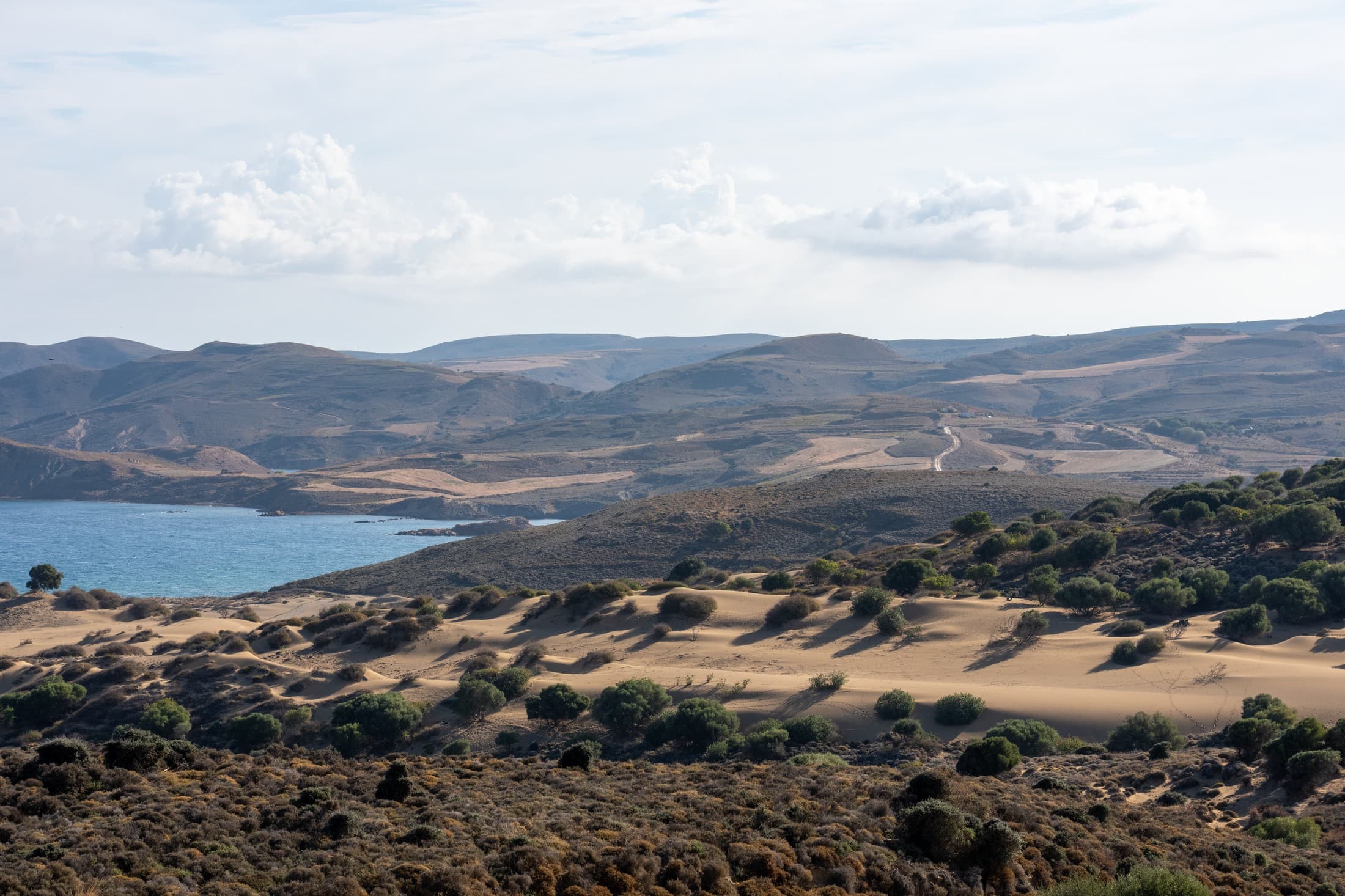 Alt text not provided