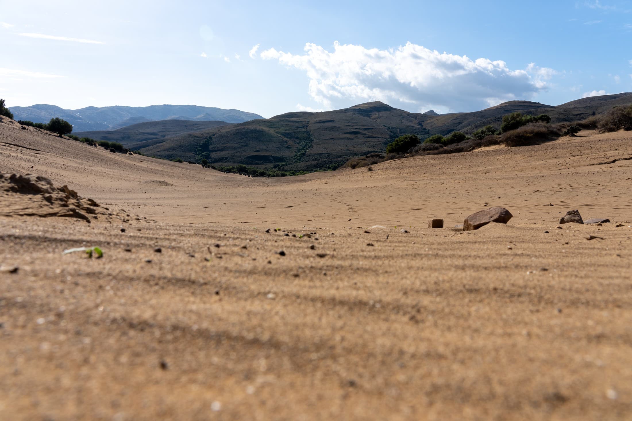 Alt text not provided