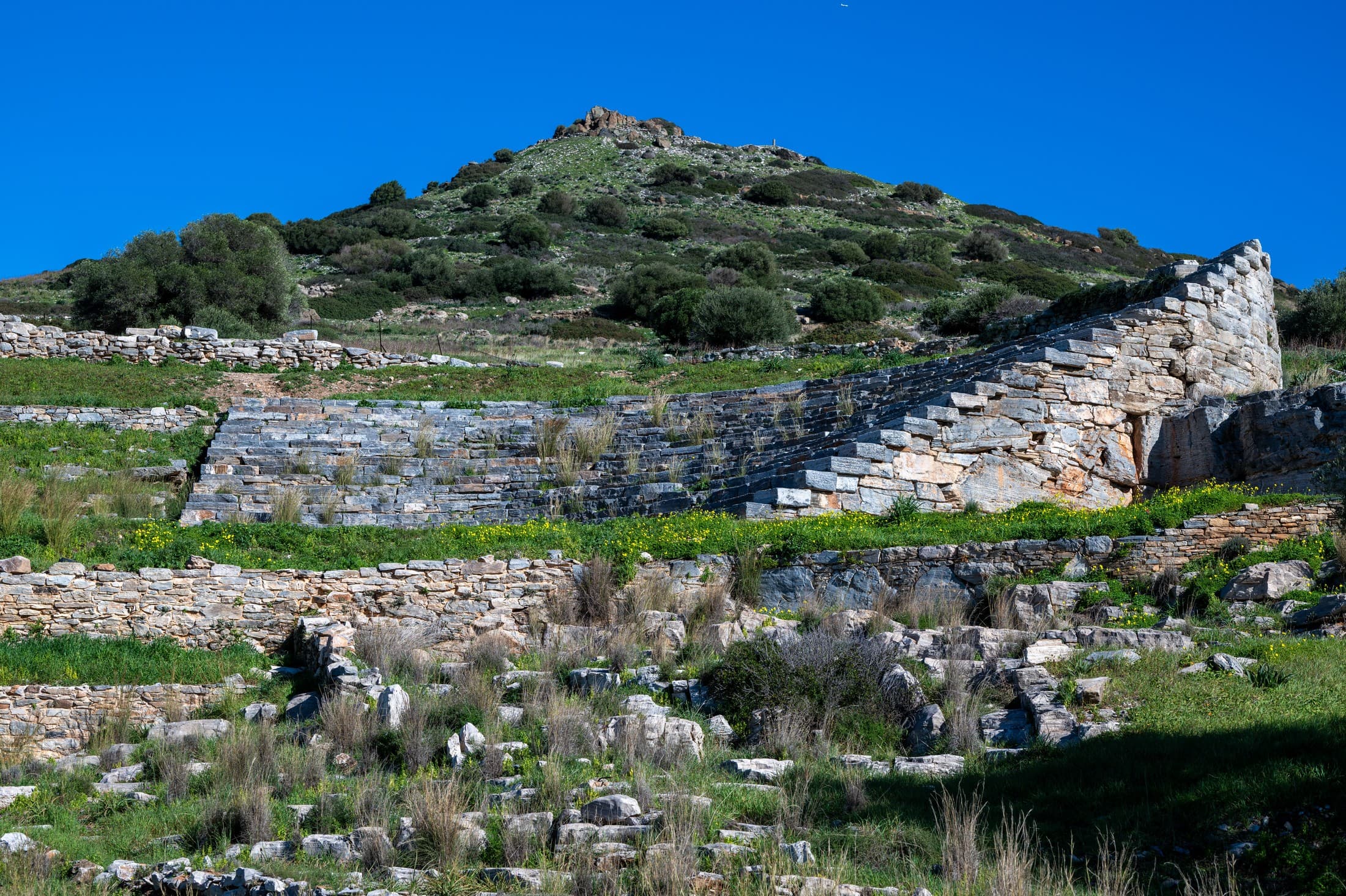 Alt text not provided