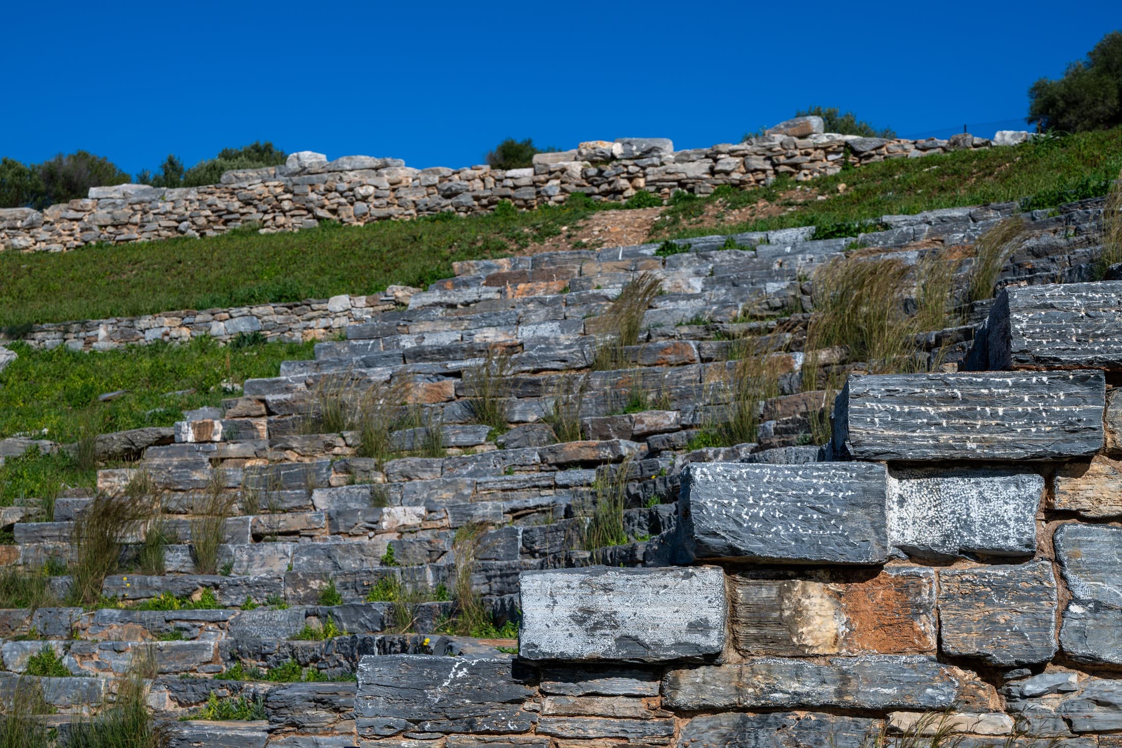 Alt text not provided