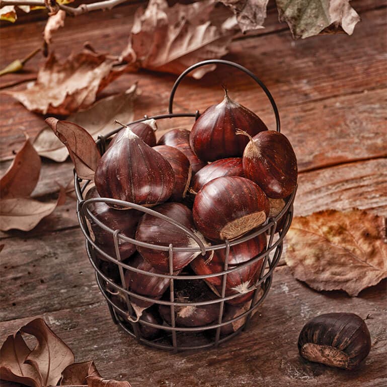 Alt text not provided