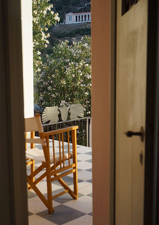 Alt text not provided