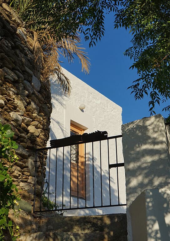 Alt text not provided