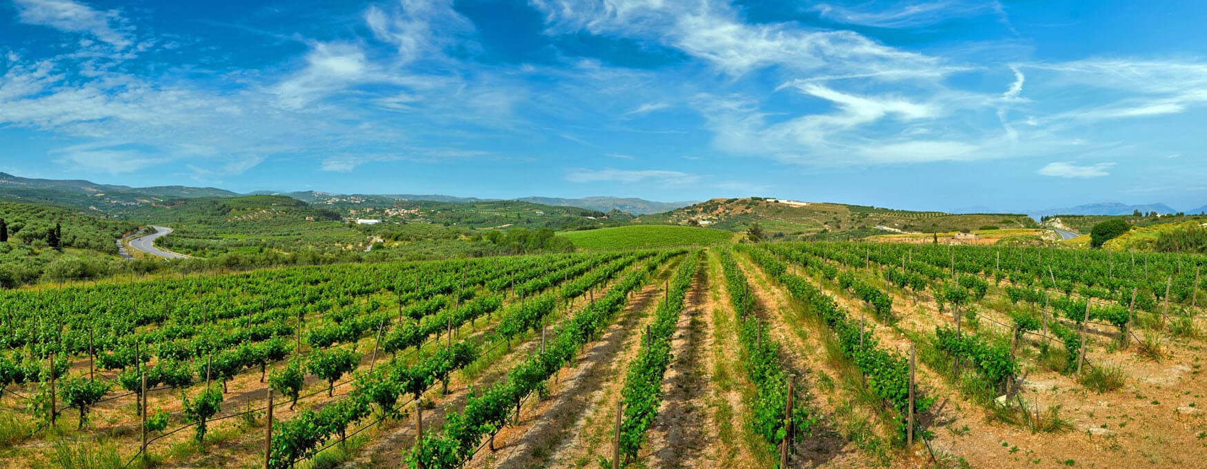 Open Doors at the Wineries of Crete