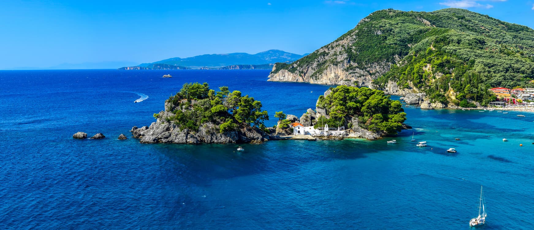 Alt text not provided