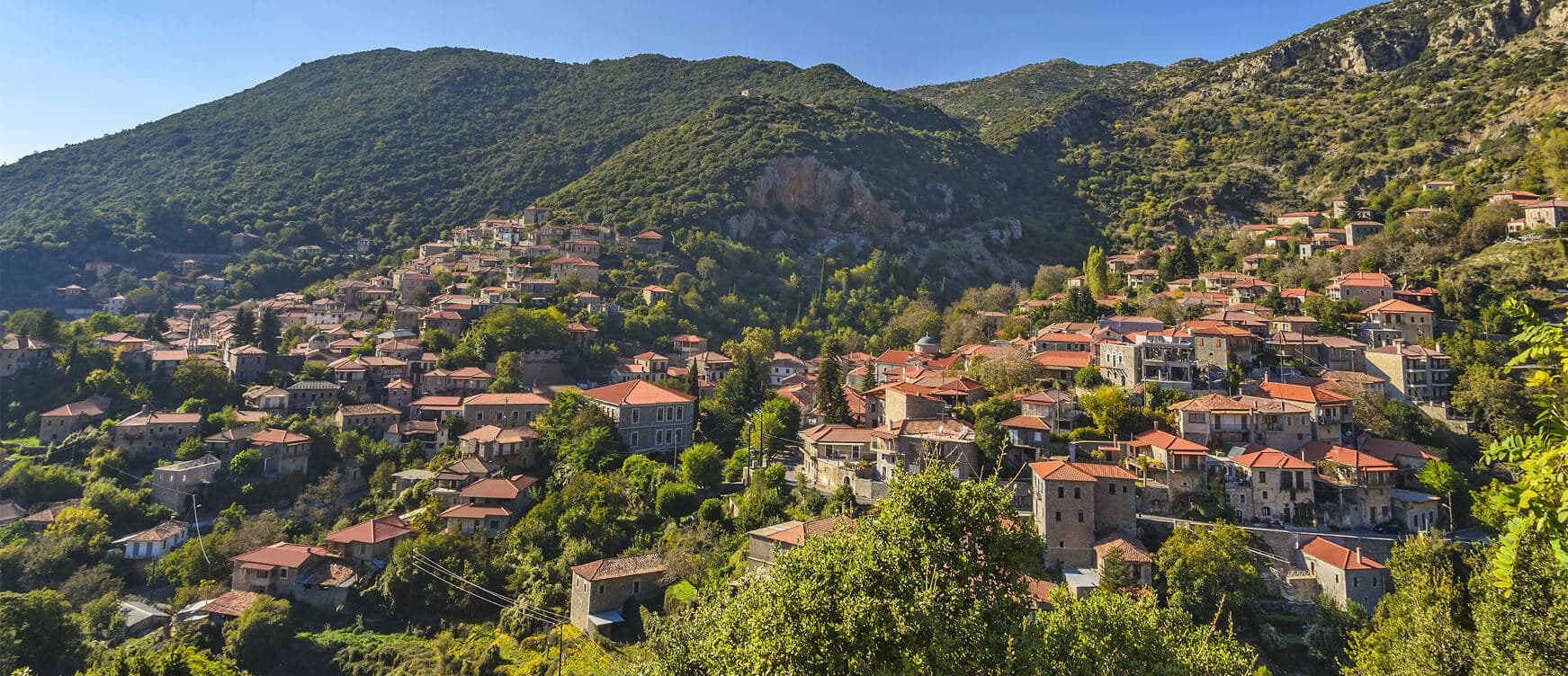 Alt text not provided