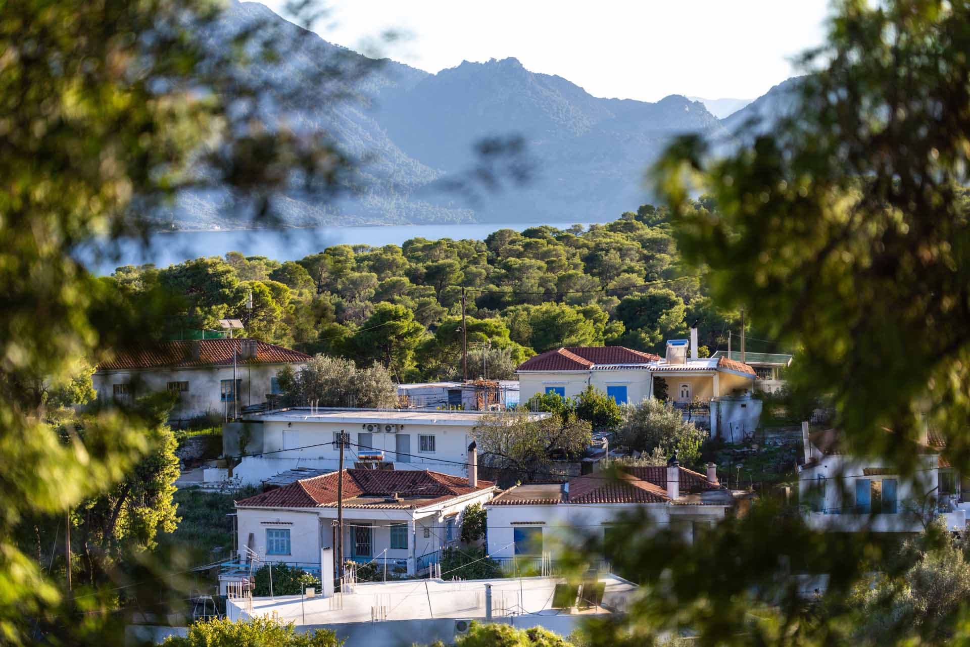 Alt text not provided