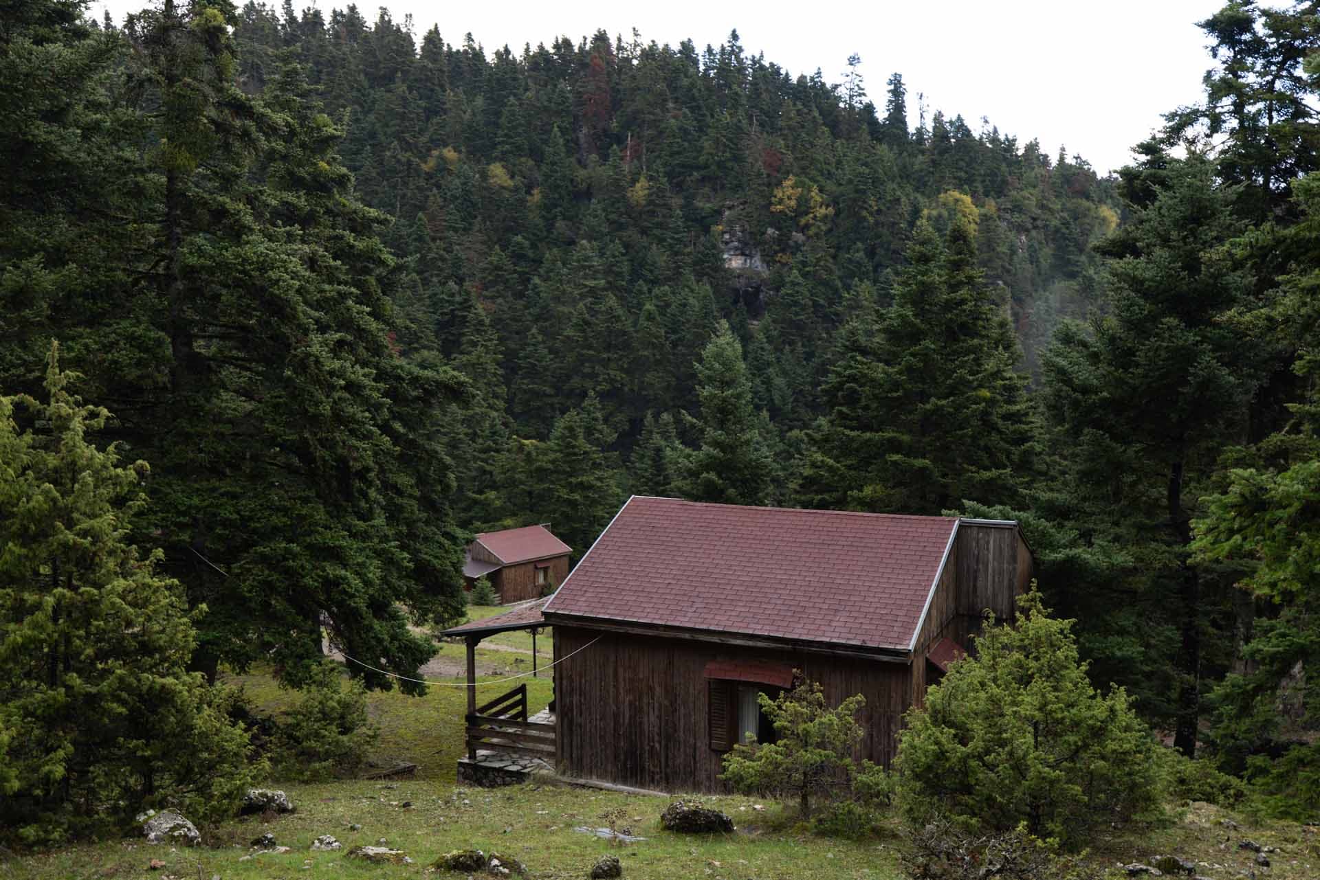 Alt text not provided