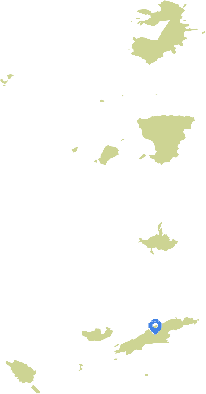 Overview Image