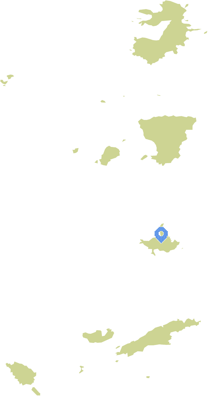 Overview Image