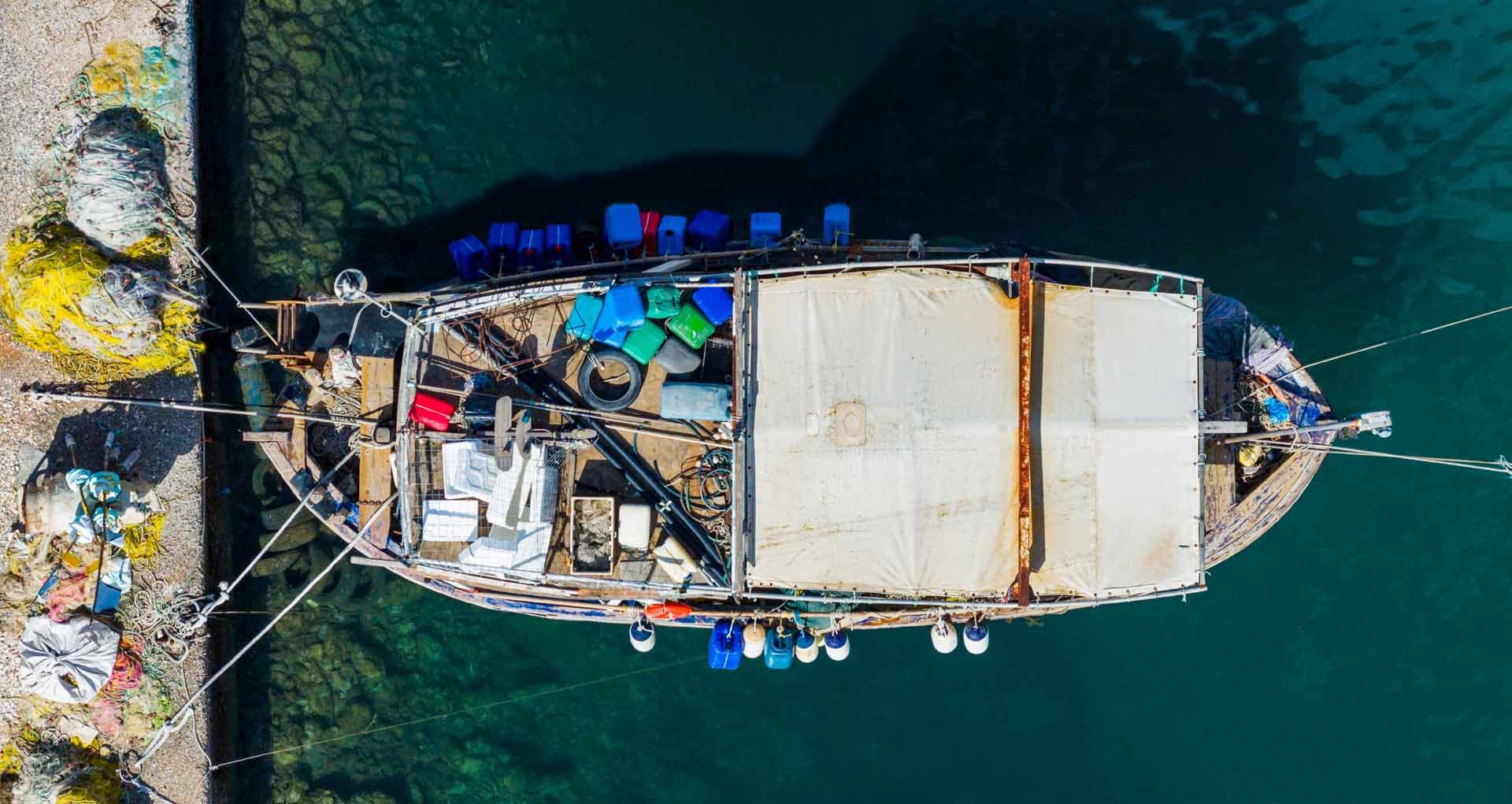 Alt text not provided