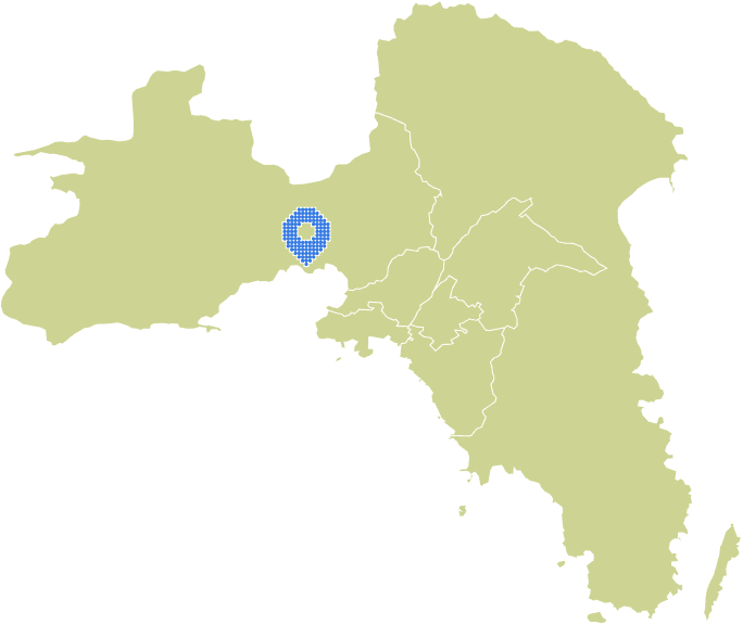 Overview Image