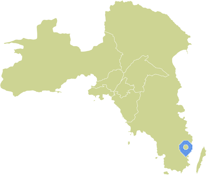 Overview Image