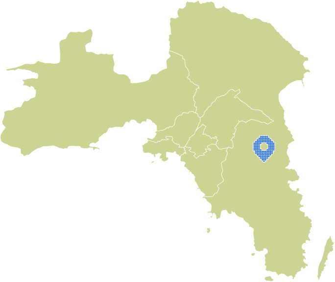 Overview Image