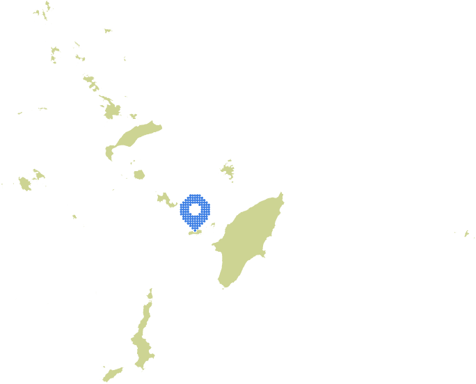 Overview Image